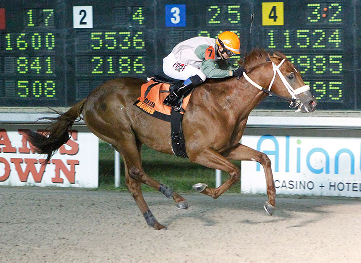 Mocito Rojo wins the 2018 Delta Mile