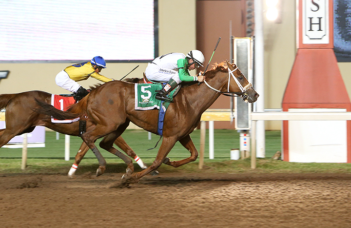 Mocito Rojo wins the 2019 Governor's Cup at Remington Park