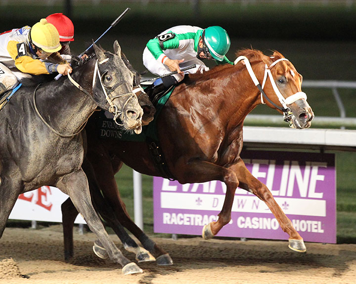 Mocito Rojo wins the 2019 Evangeline Mile