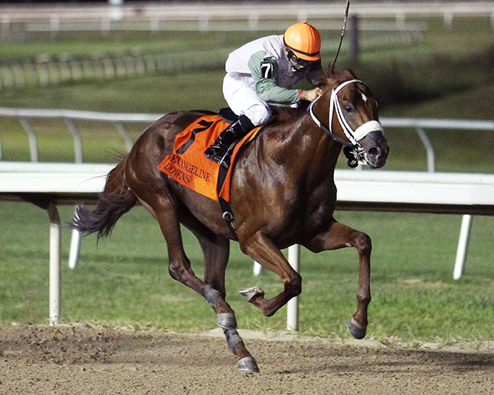 Mocito Rojo wins the 2018 Evangeline Mile