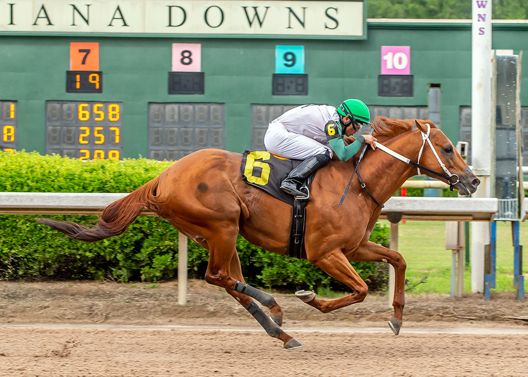 Mocito Rojo wins a May 18 allowance race at Louisiana Downs