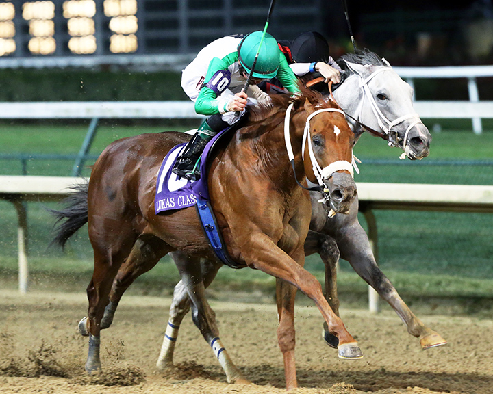 Mocito Rojo wins the 2019 Lukas Classic at Churchill Downs