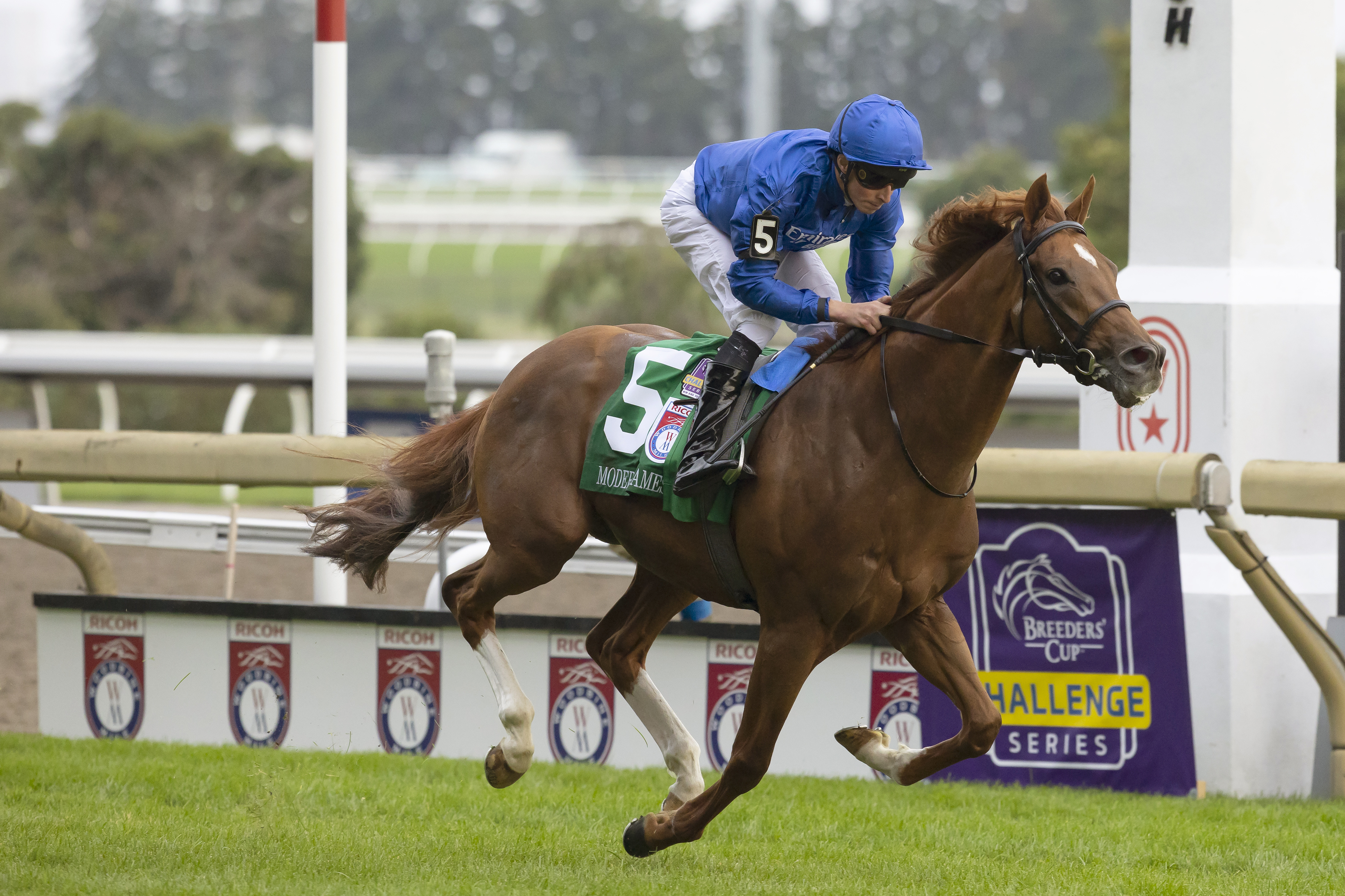 Modern Games - Woodbine Mile 2022