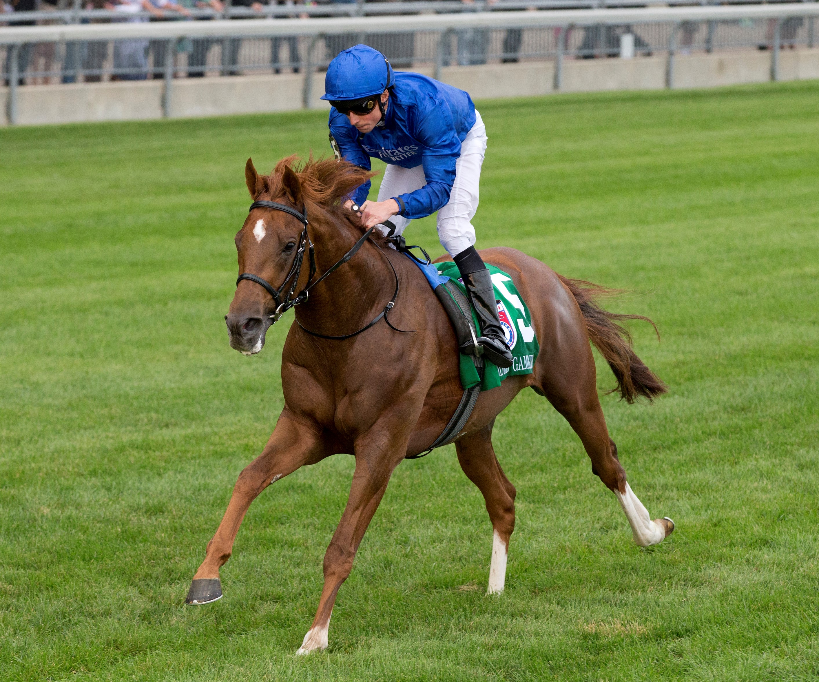 Modern Games wins Woodbine Mile Sept 17 2022