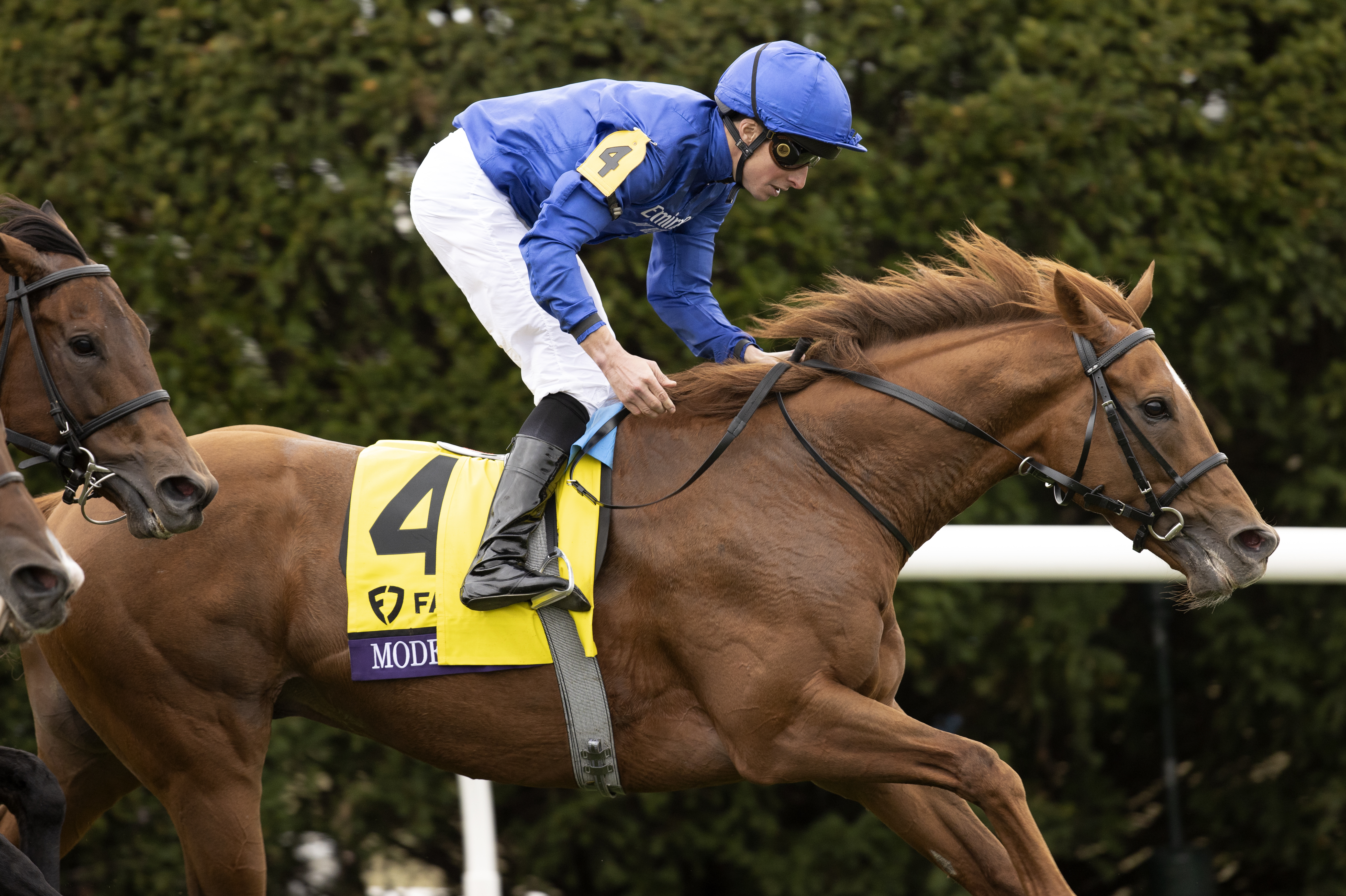 Modern Games/Eclipse Awards