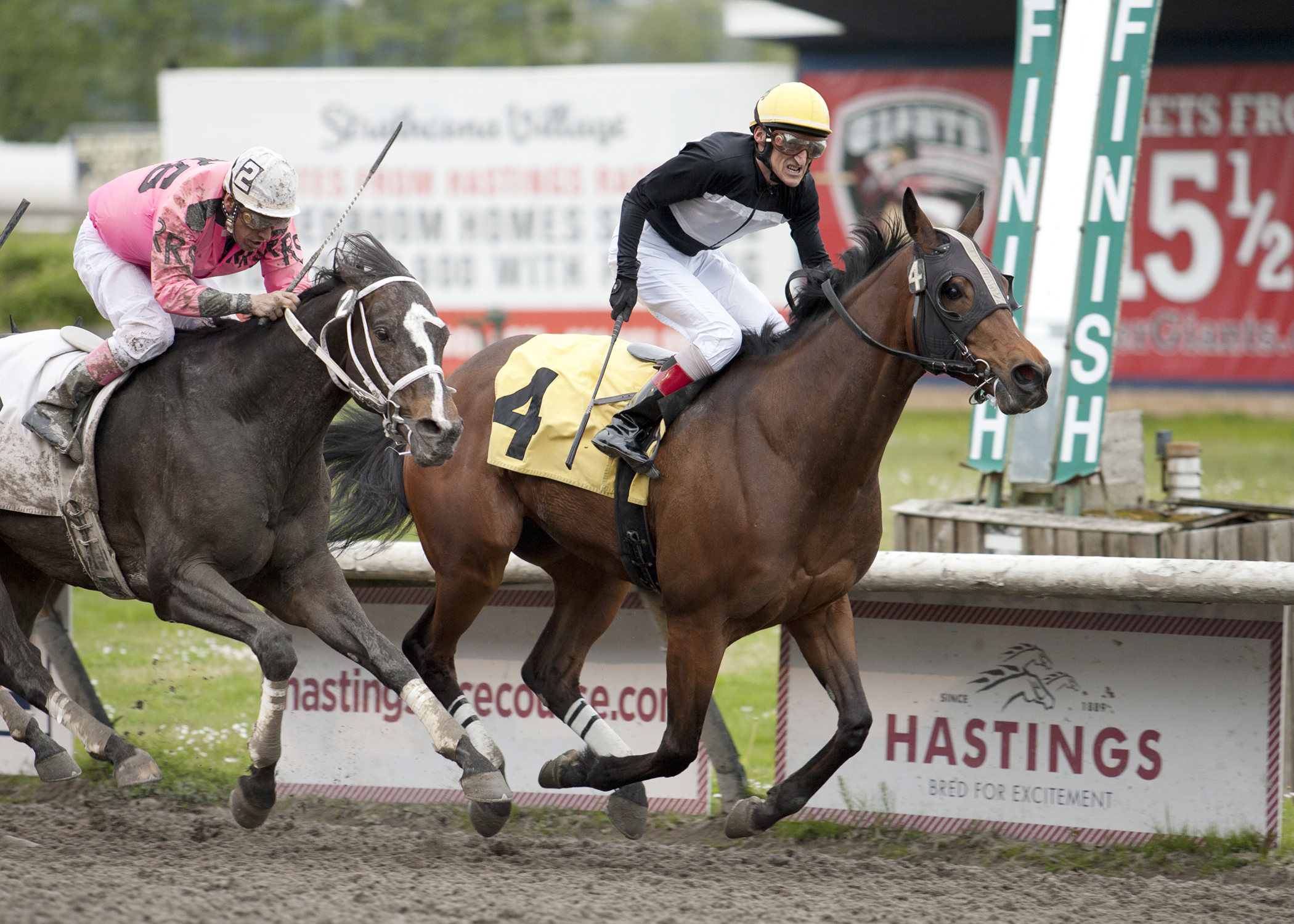 Modern wins the 2015 George Royal Stakes