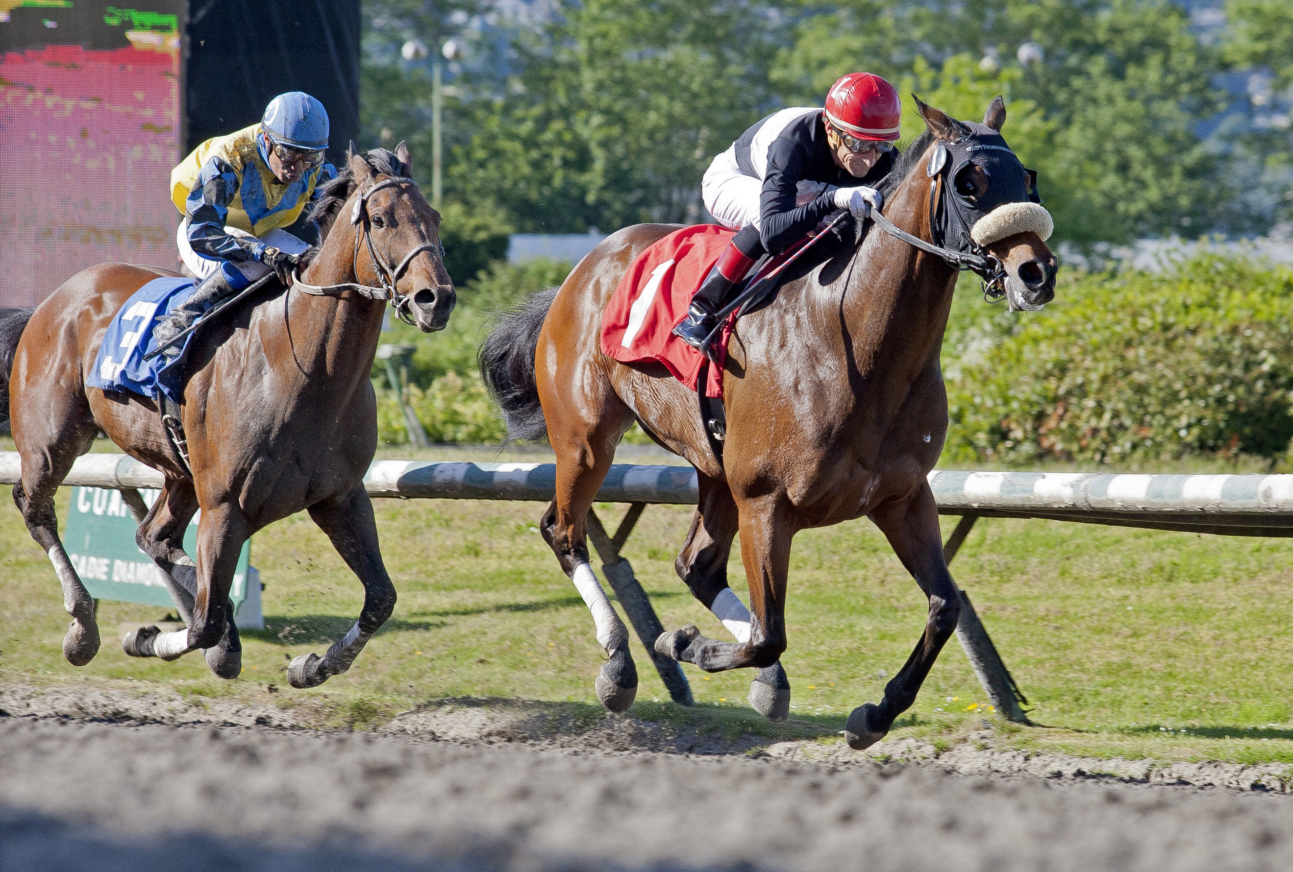 Modern wins the George Royal Stakes