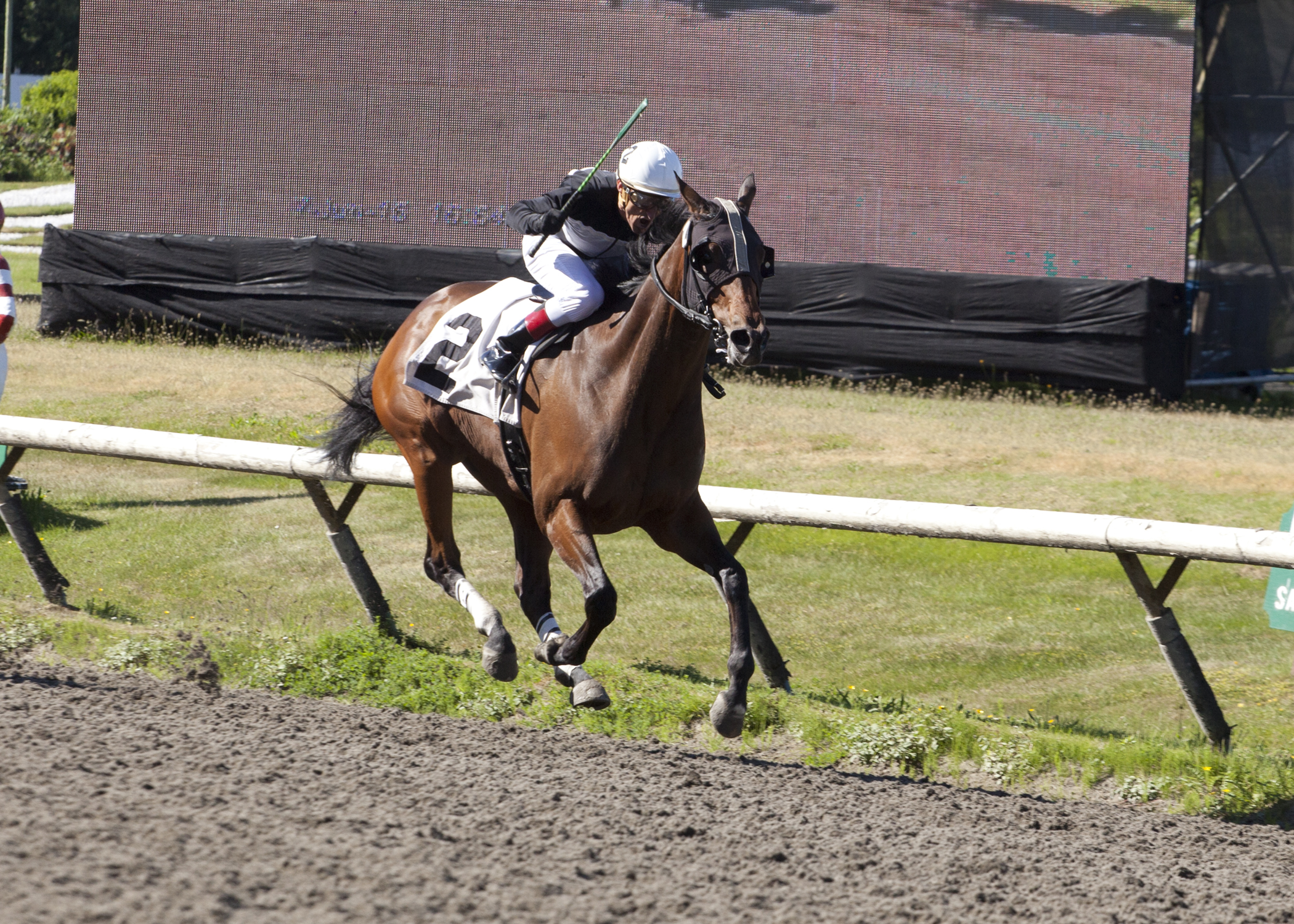 Modern wins the 2015 George Royal Stakes