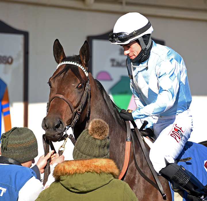 Modernist at Aqueduct on Dec. 7, 2019