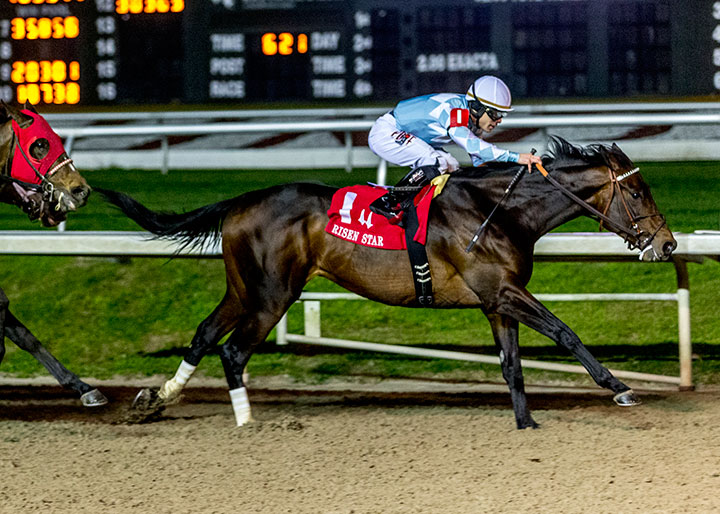 Modernist wins the 2020 Risen Star Stakes second division at Fair Grounds