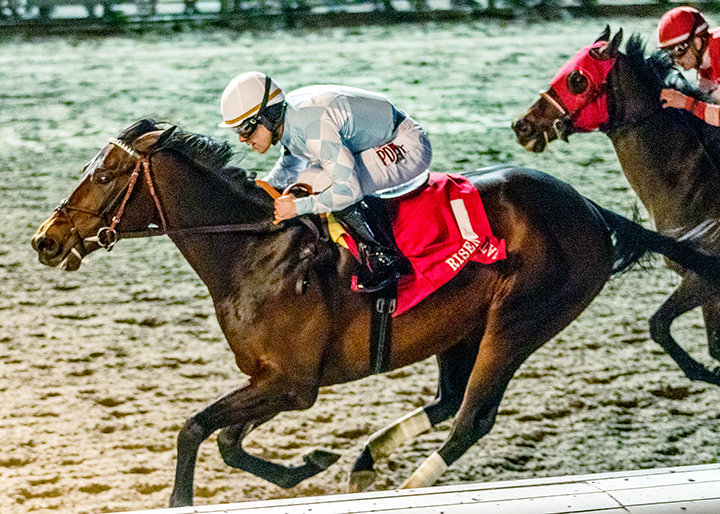 Modernist wins the 2020 Risen Star Stakes second division at Fair Grounds