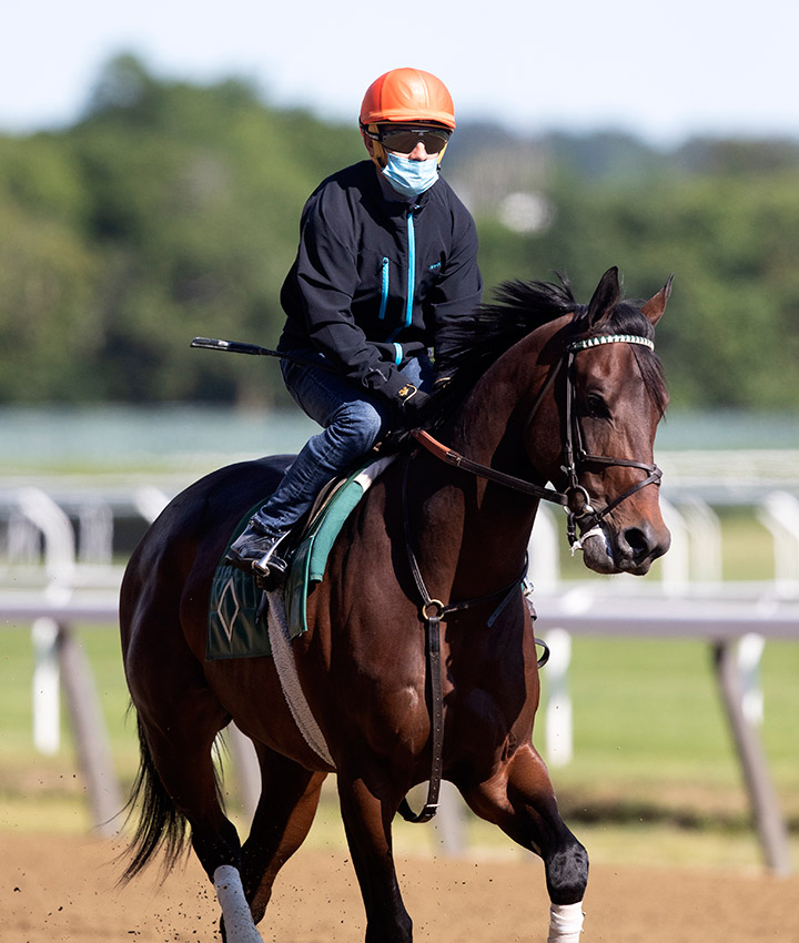 Modernist at Belmont Park on June 14