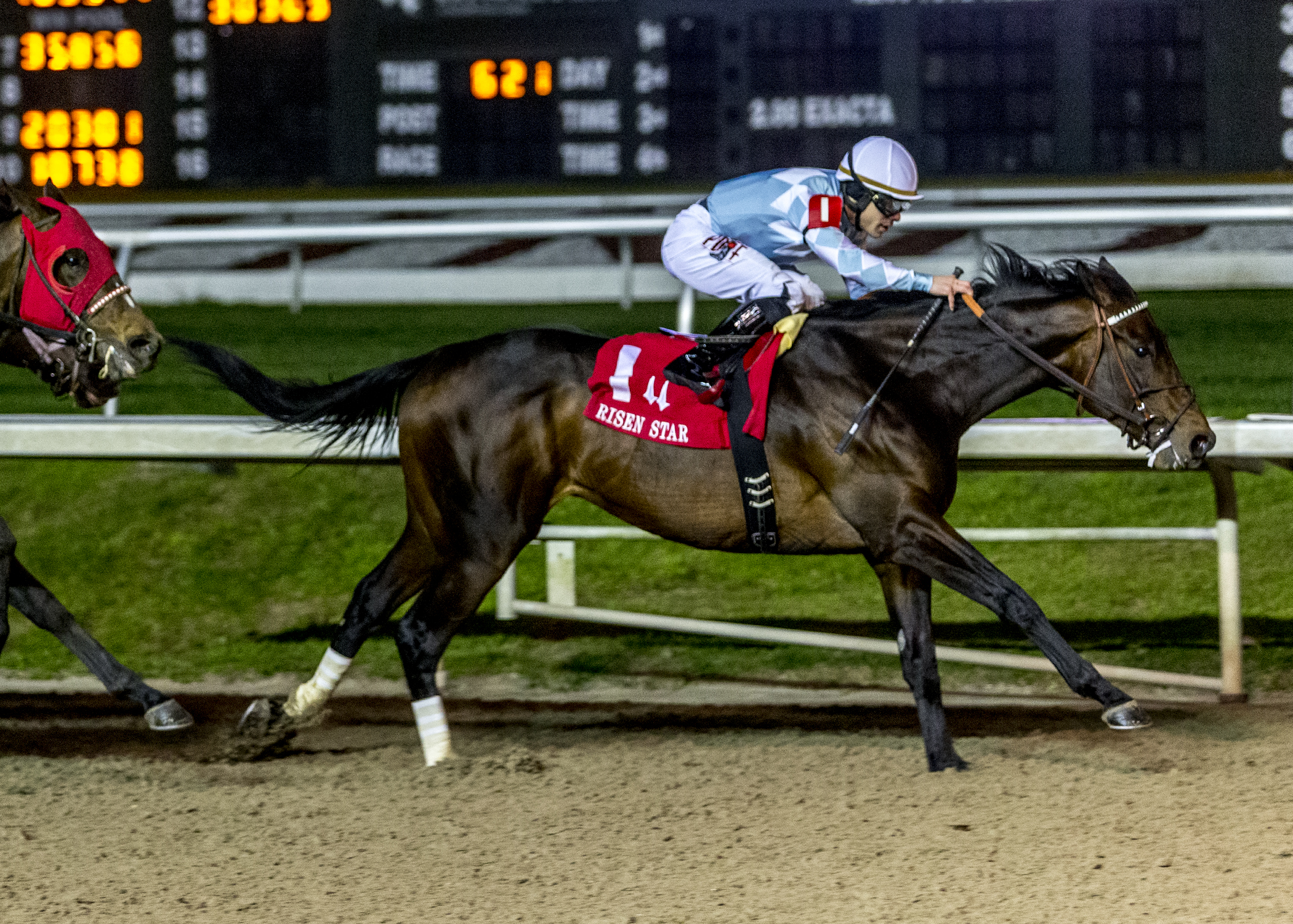 Modernist wins the second division of the 2020 Risen Star Stakes