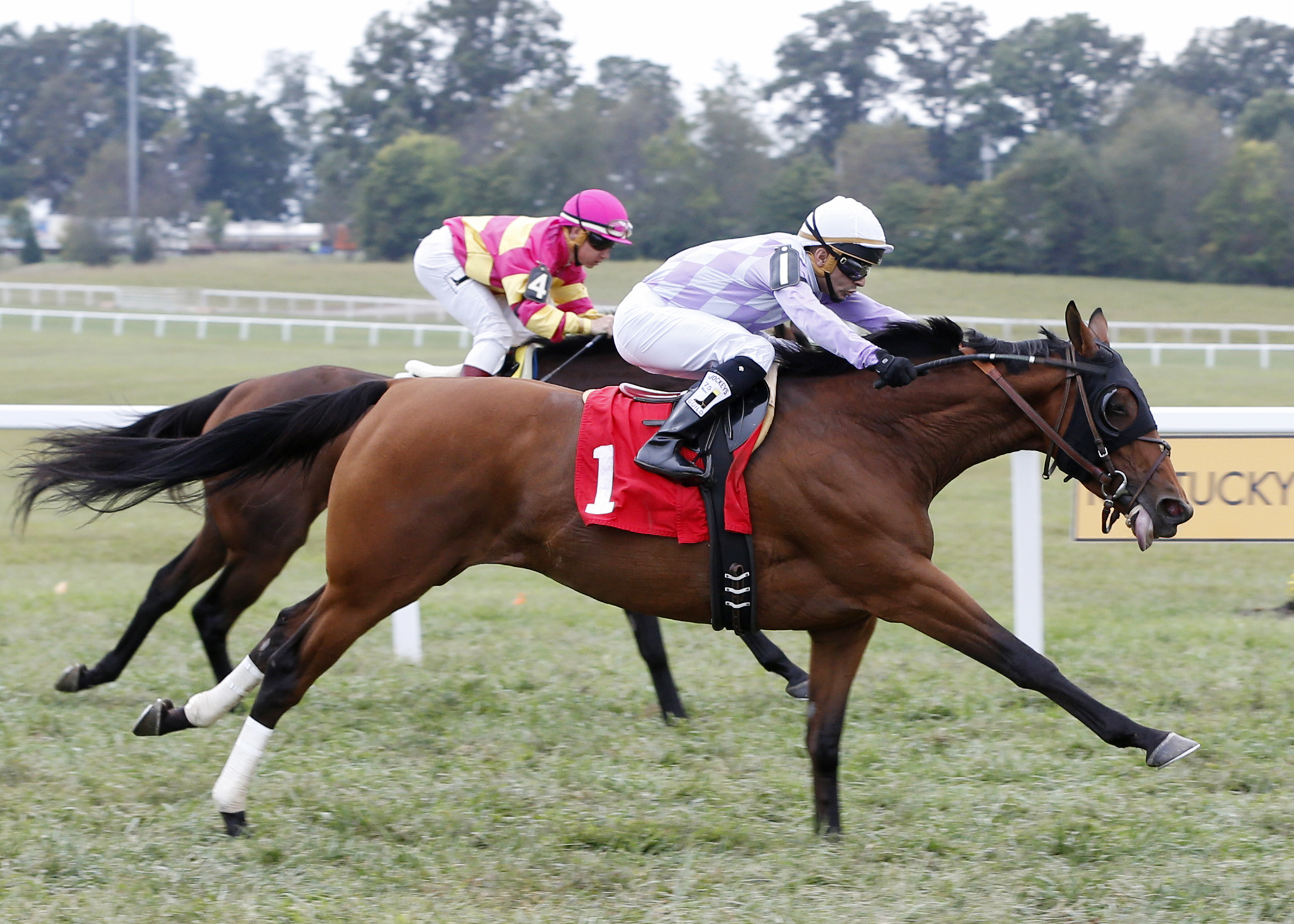 Modernstone wins the Ladies Marathon