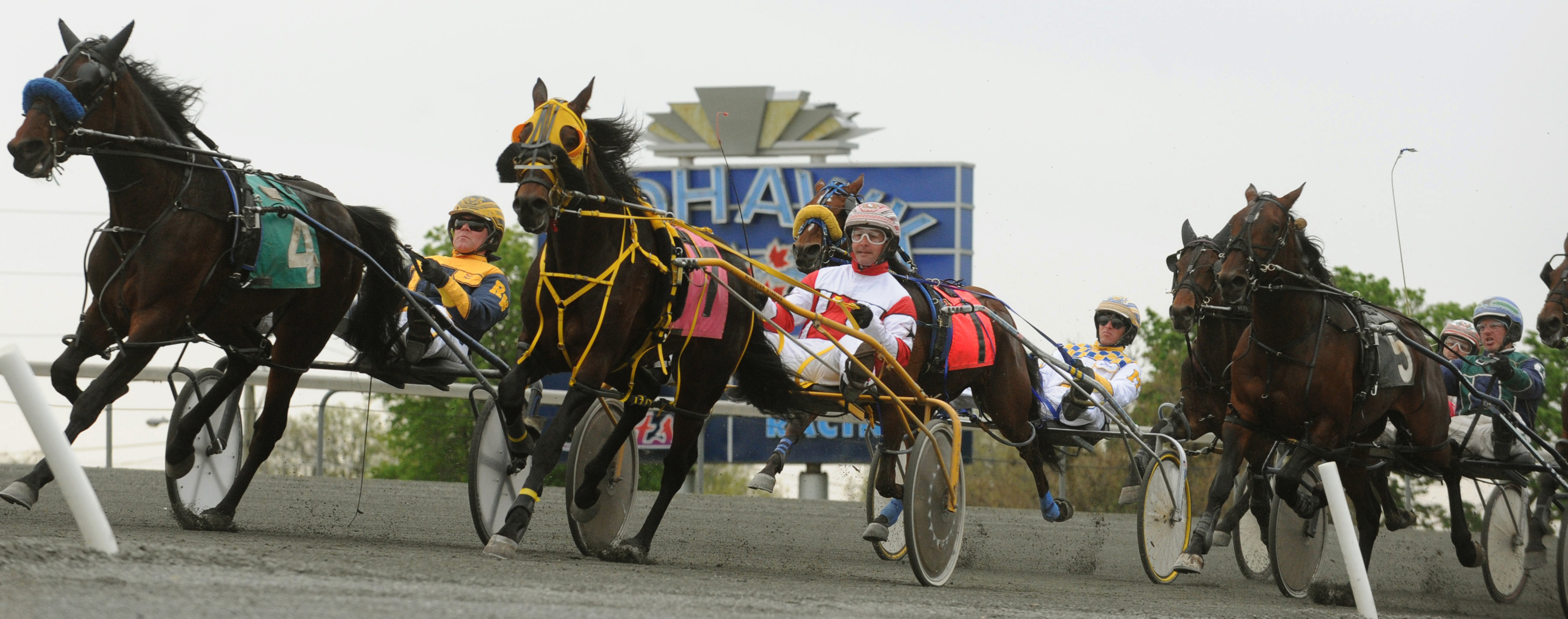 Mohawk Horses