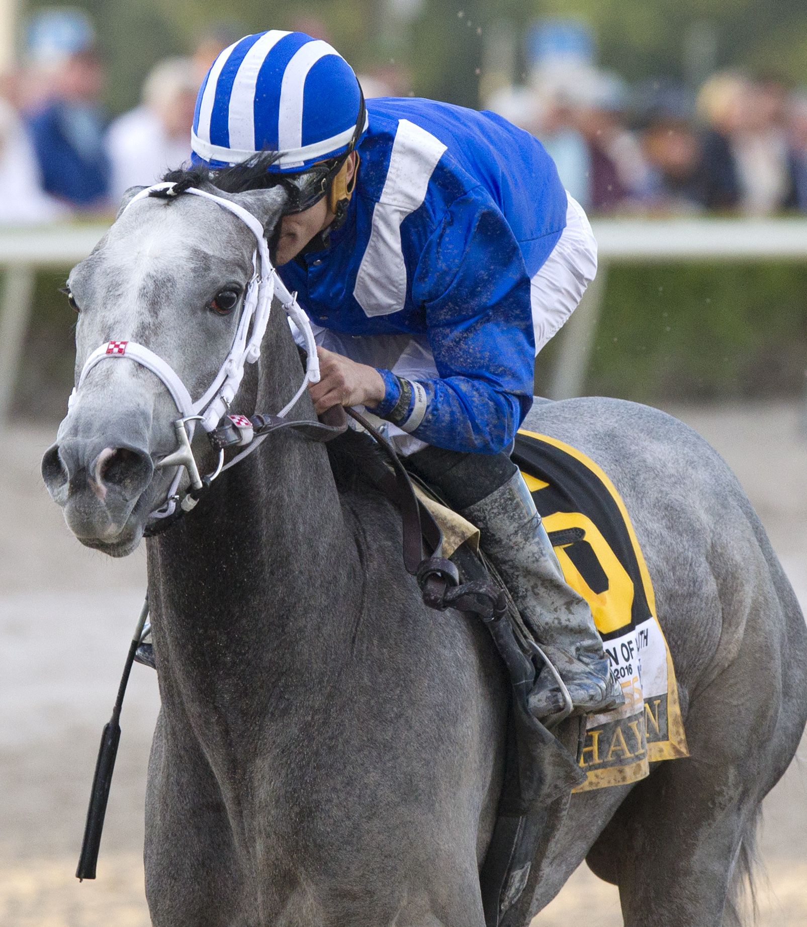 Mohaymen