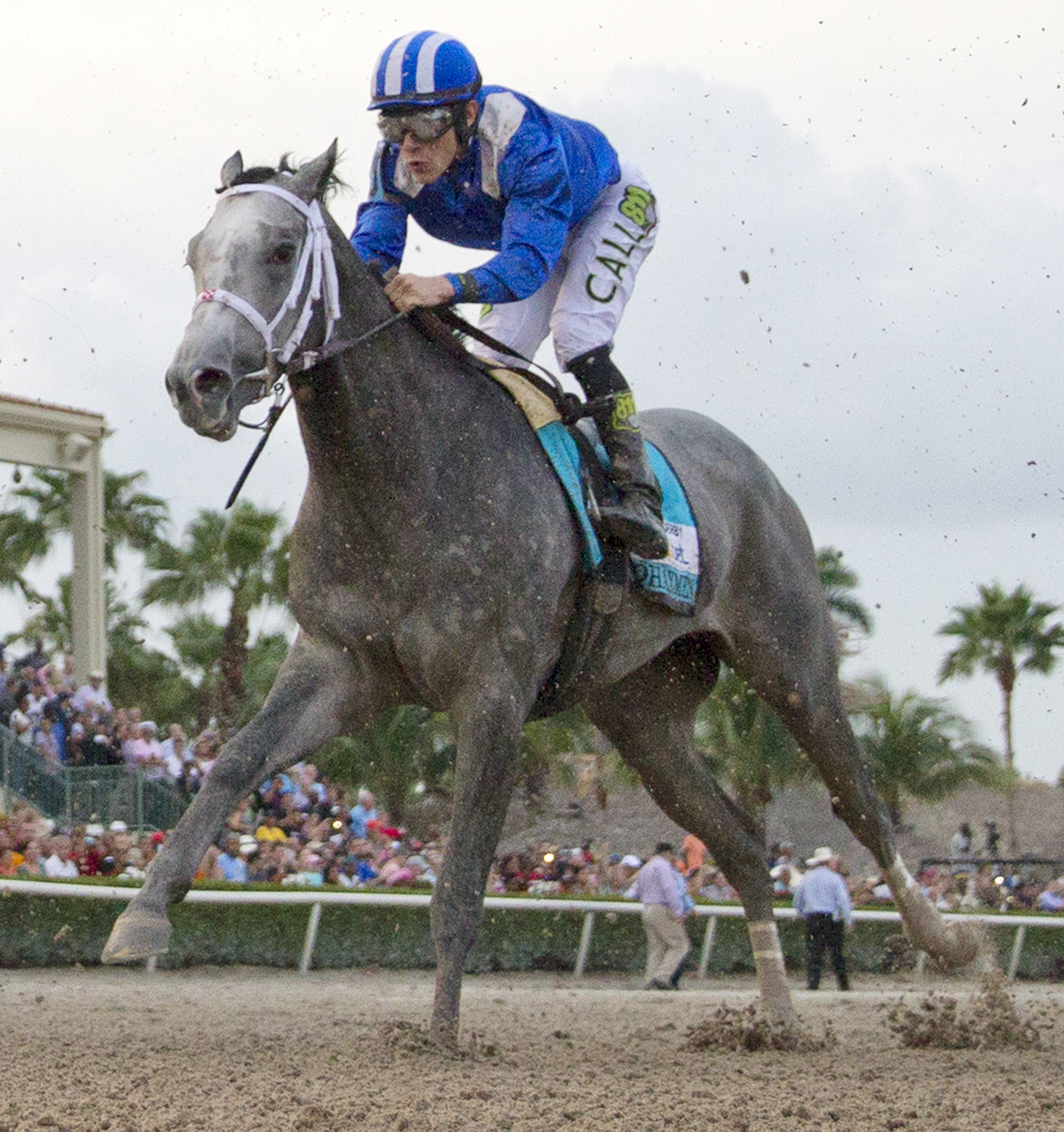 Mohaymen 4-2-2016