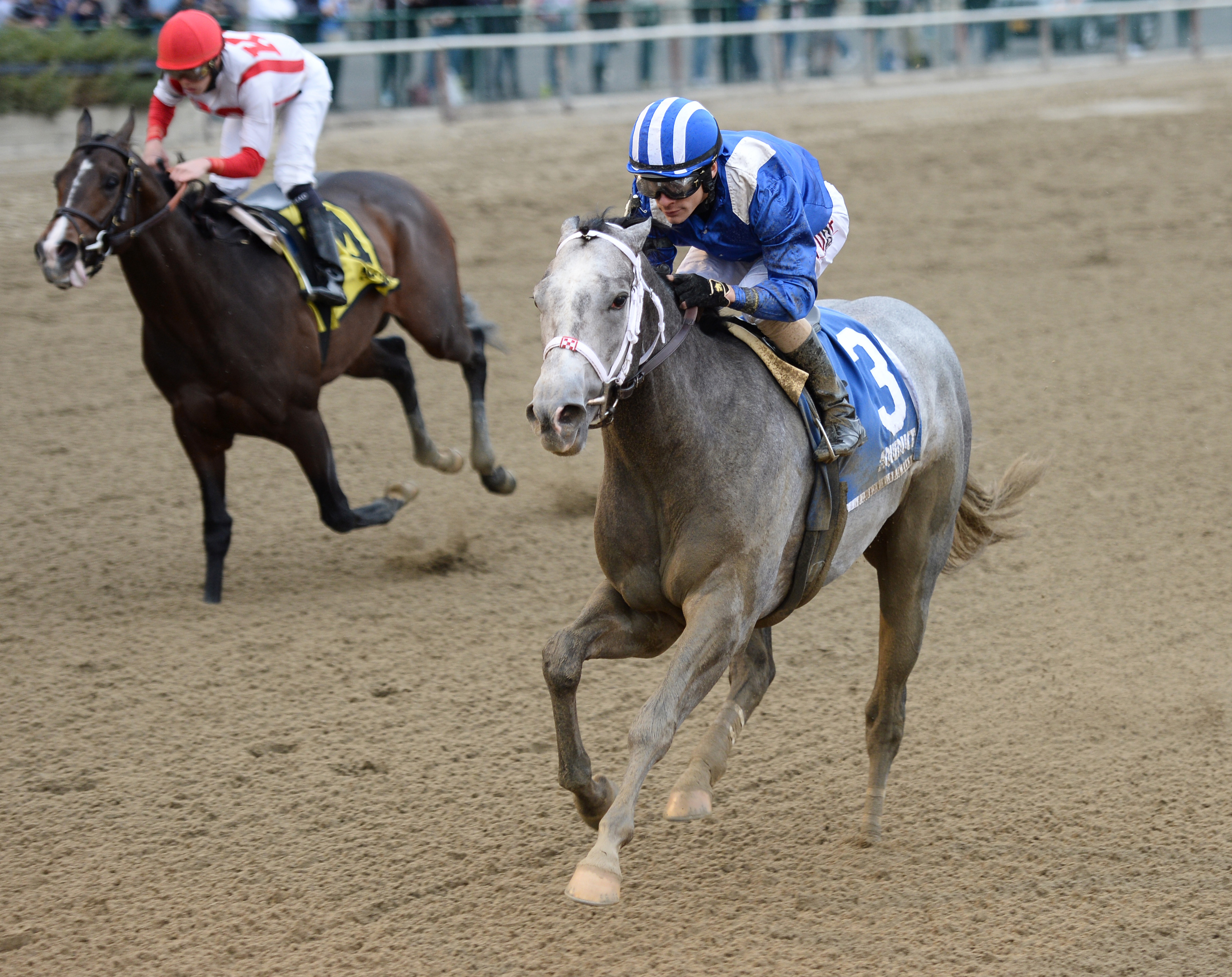 Mohaymen wins the Remsen