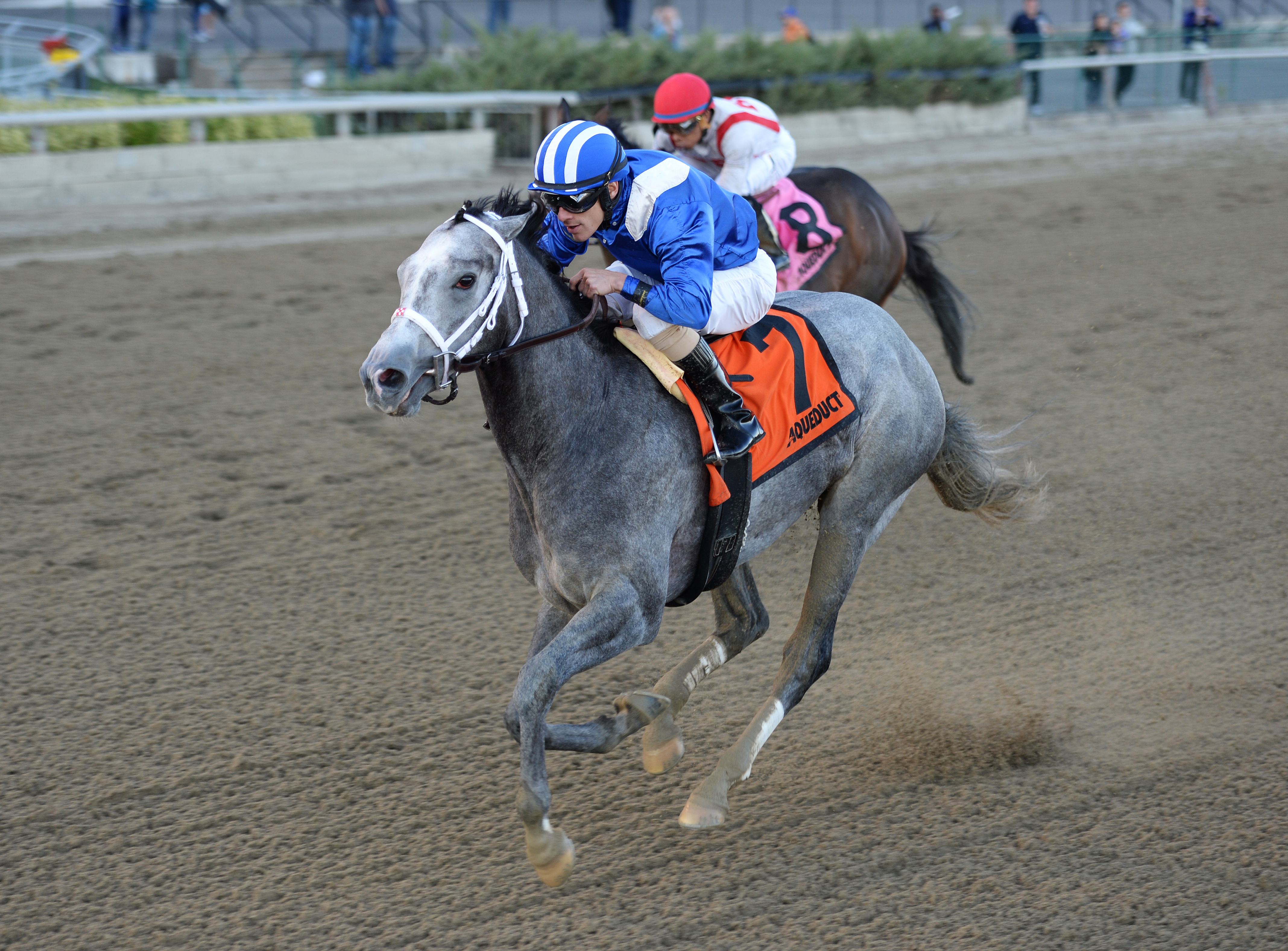 Mohaymen wins the Nashua Stakes
