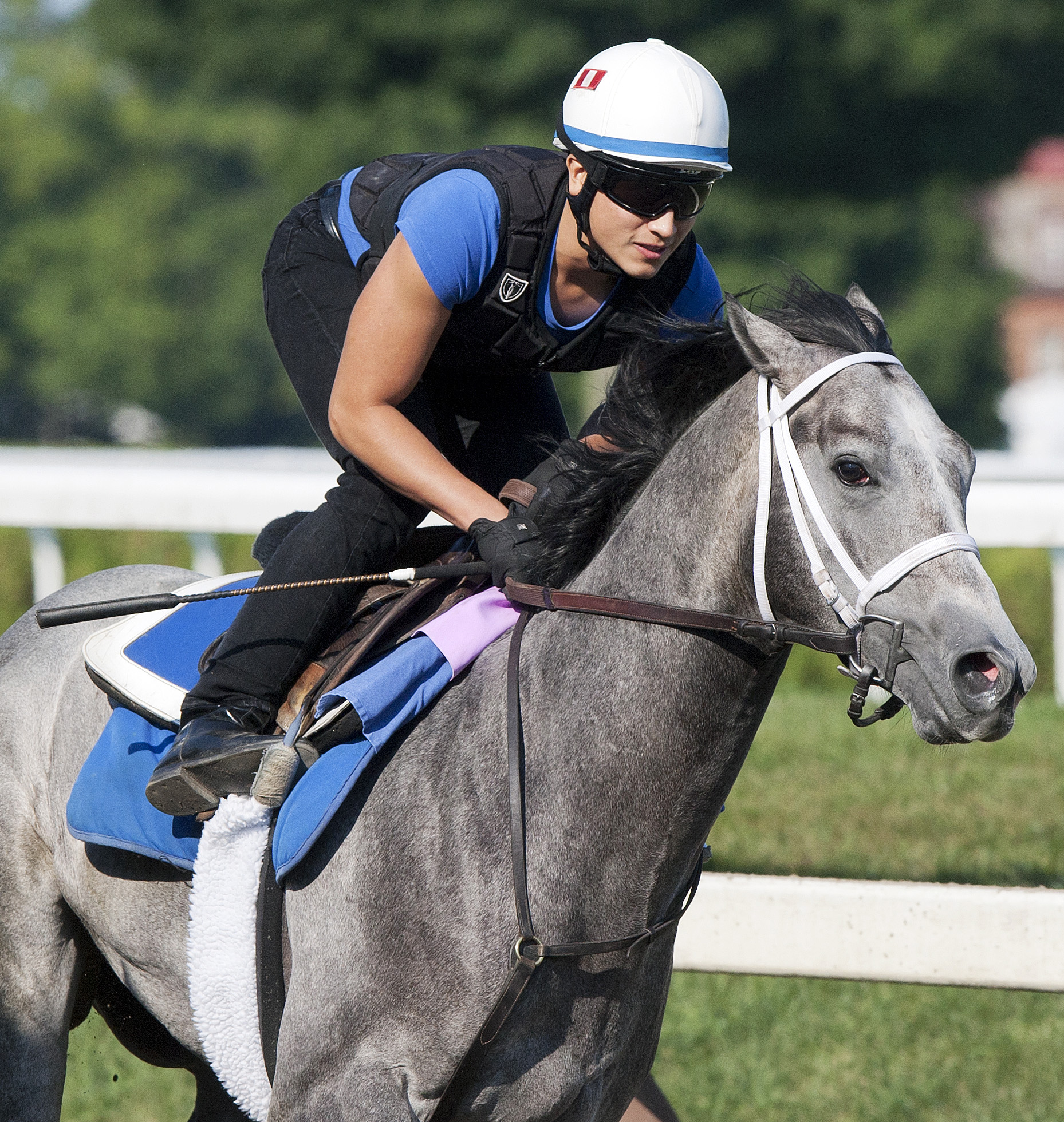 Mohaymen works at Saratoga in August