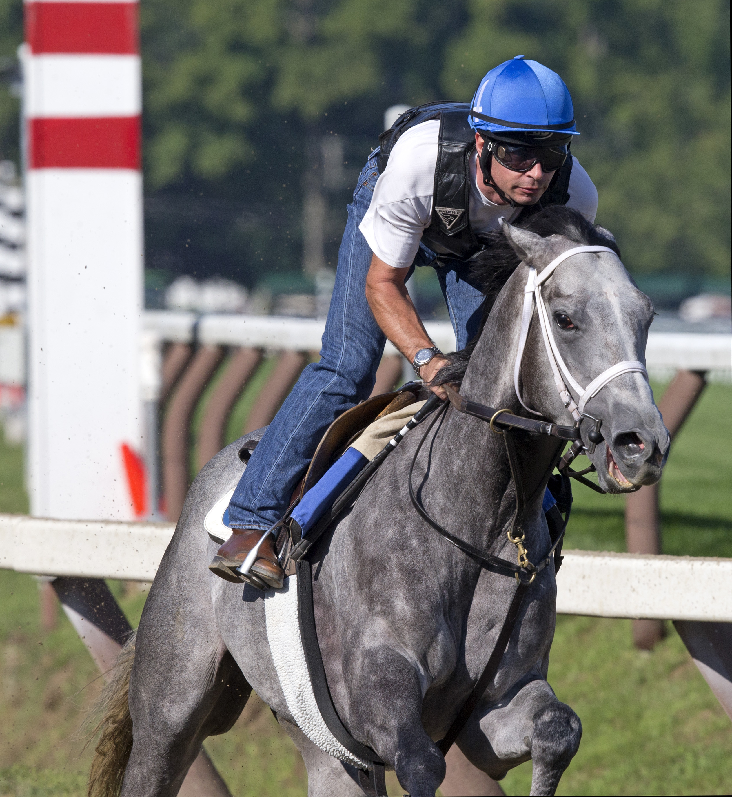 Mohaymen trains at Saratoga on August 19