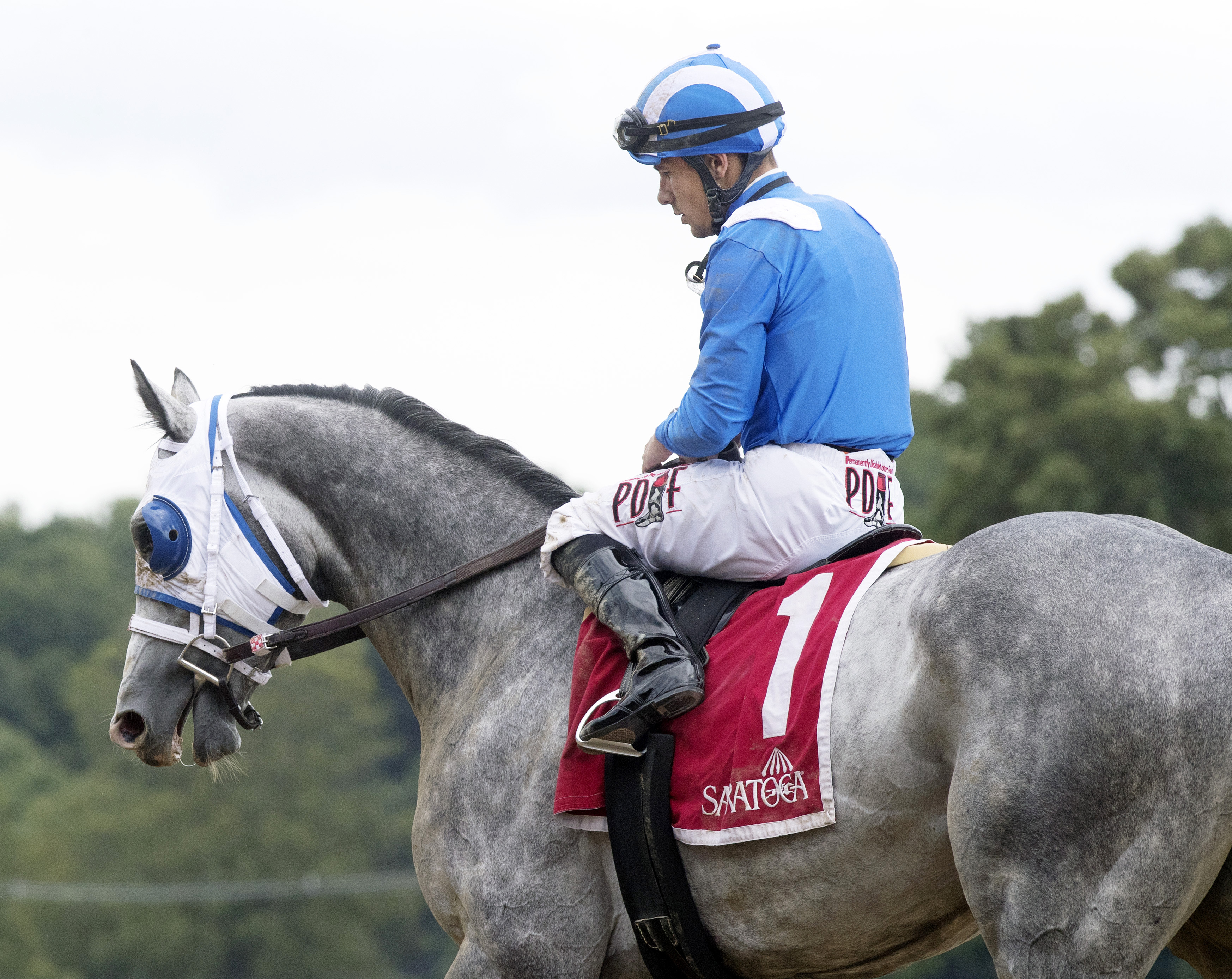 Mohaymen finishes fifth in the Alydar Stakes