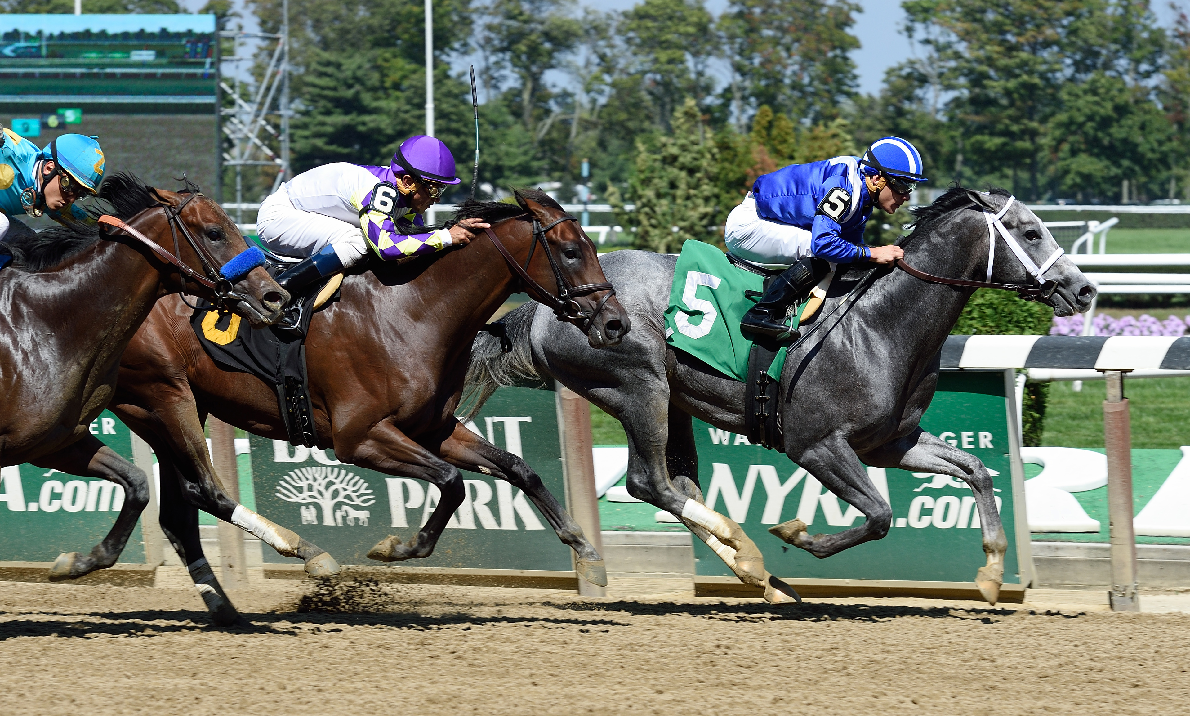 Mohaymen wins a maiden race