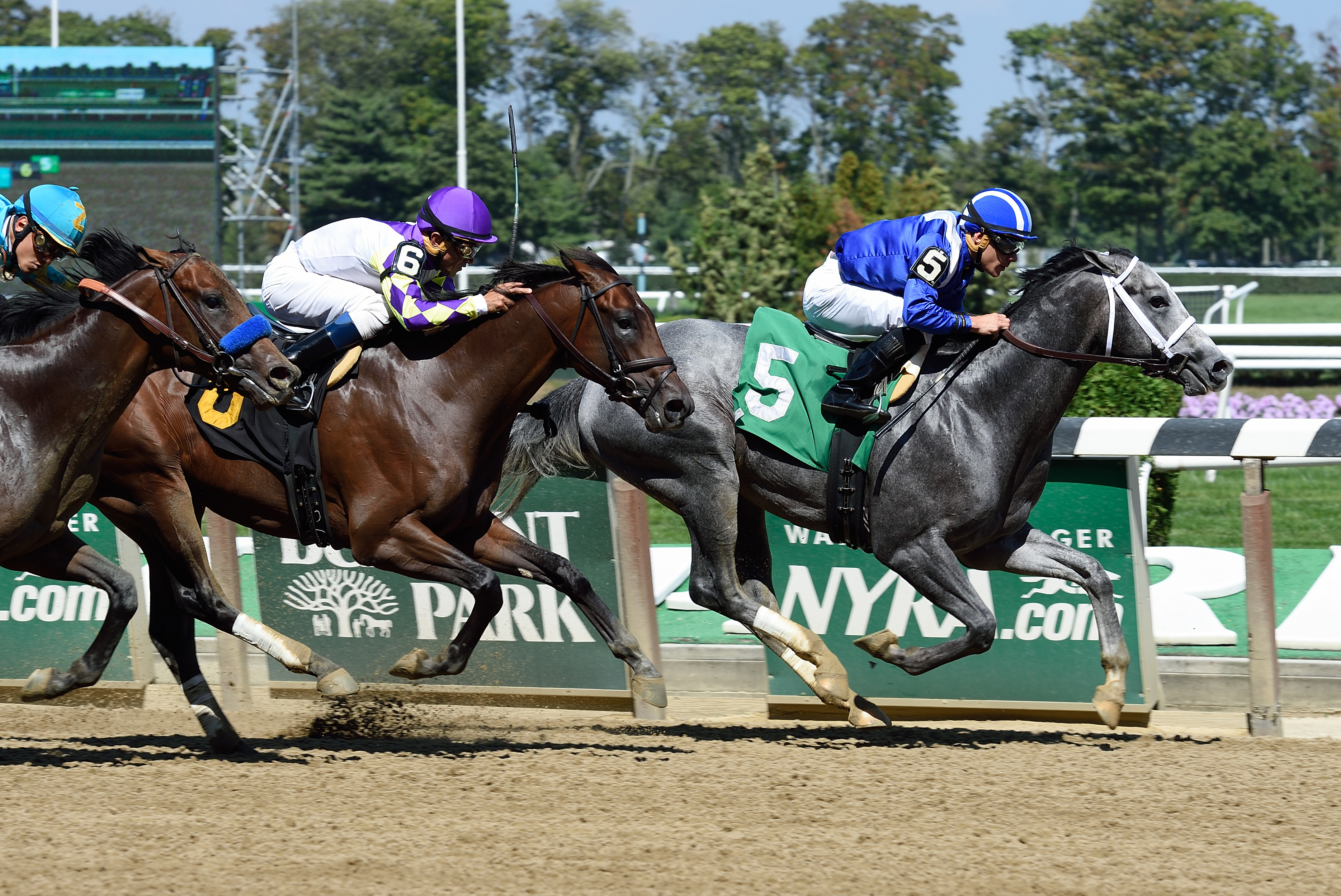Seymourdini finishes second to Mohaymen in a maiden race