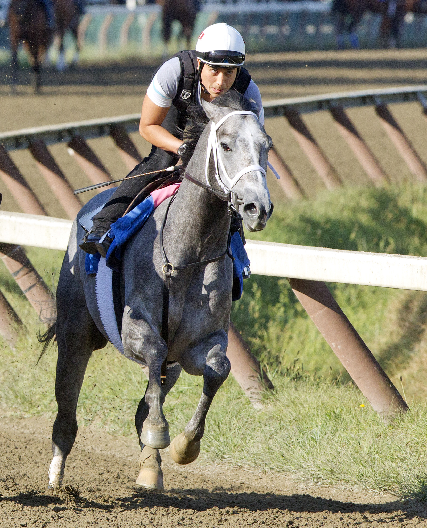 Mohaymen works at Saratoga