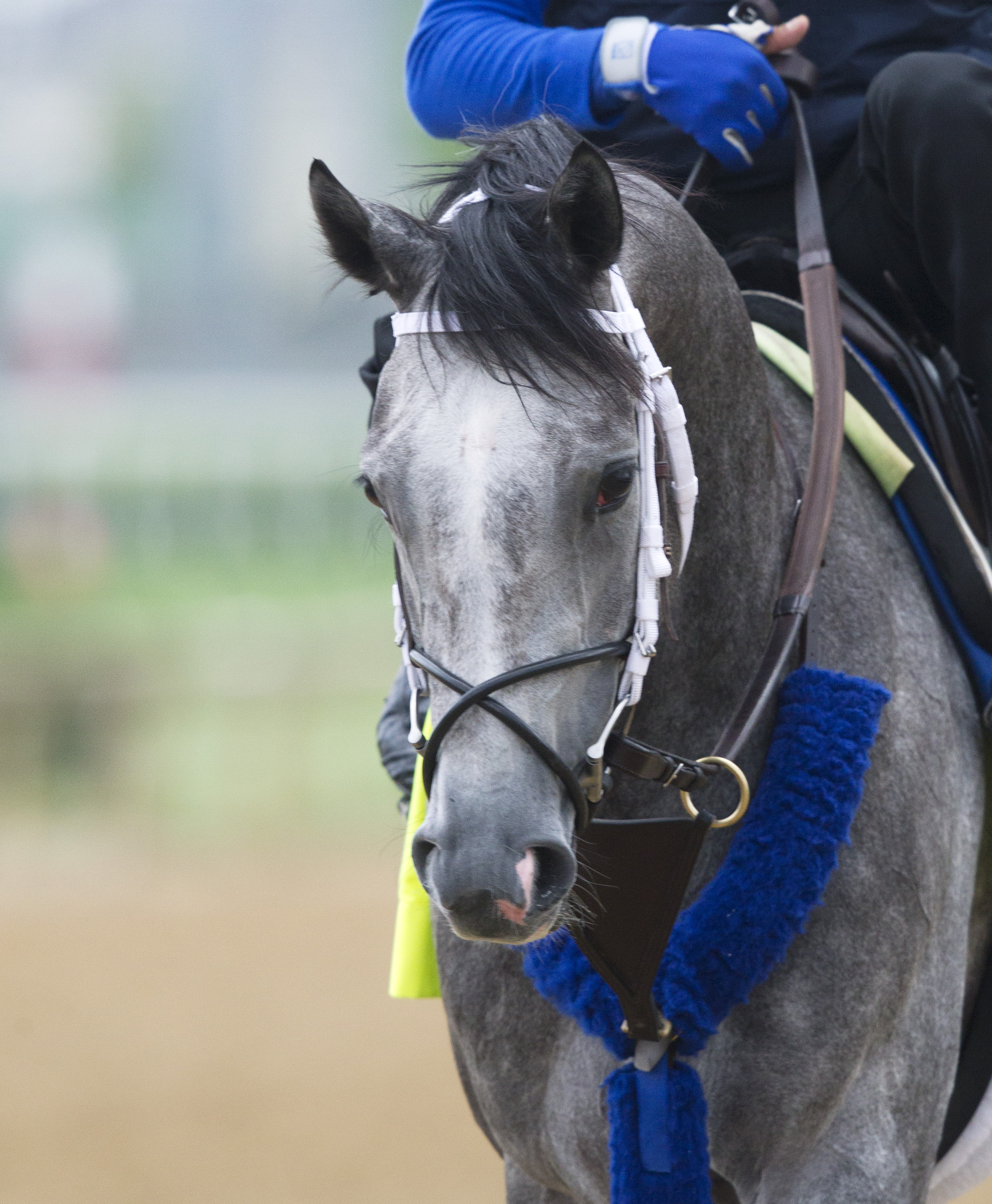 Mohaymen on May 3