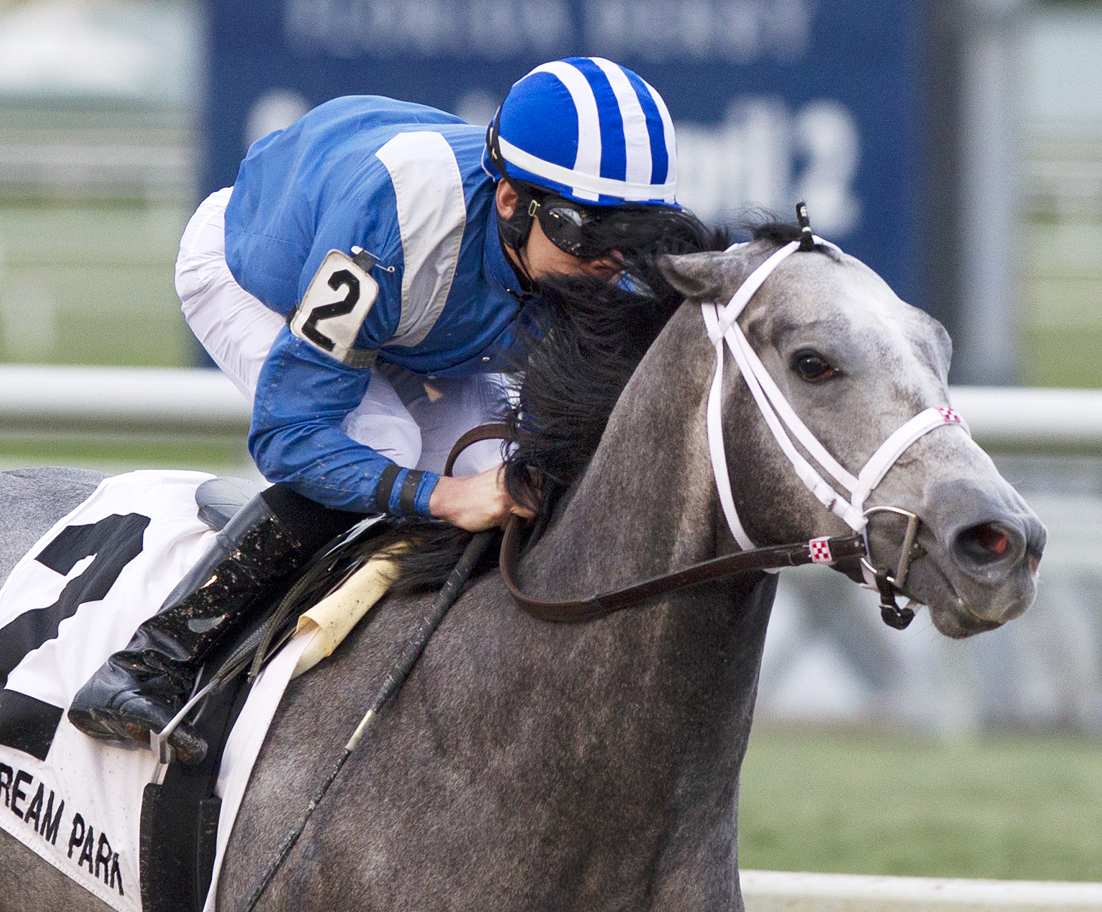 Mohaymen 1-30-2016