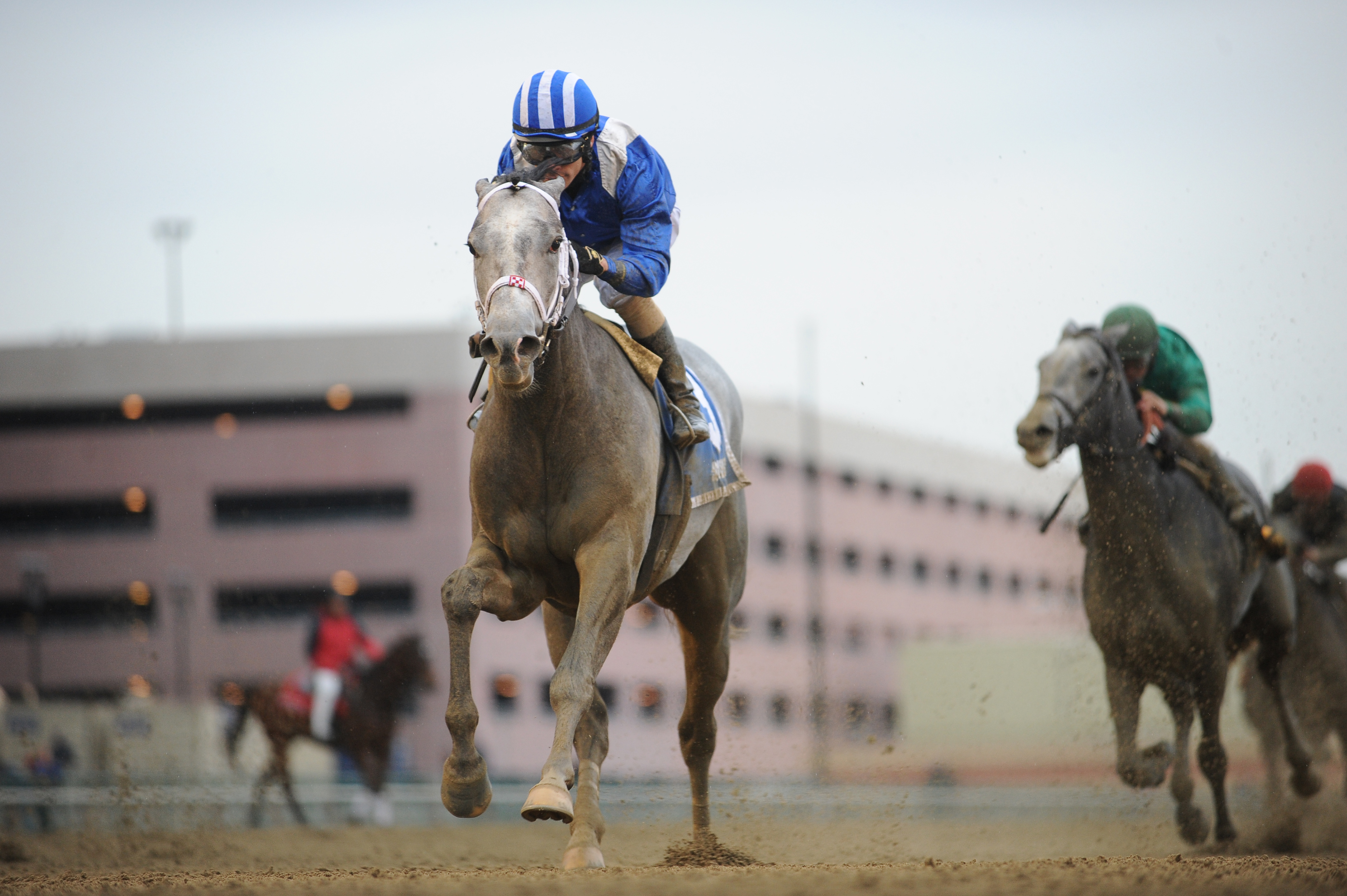 Mohaymen