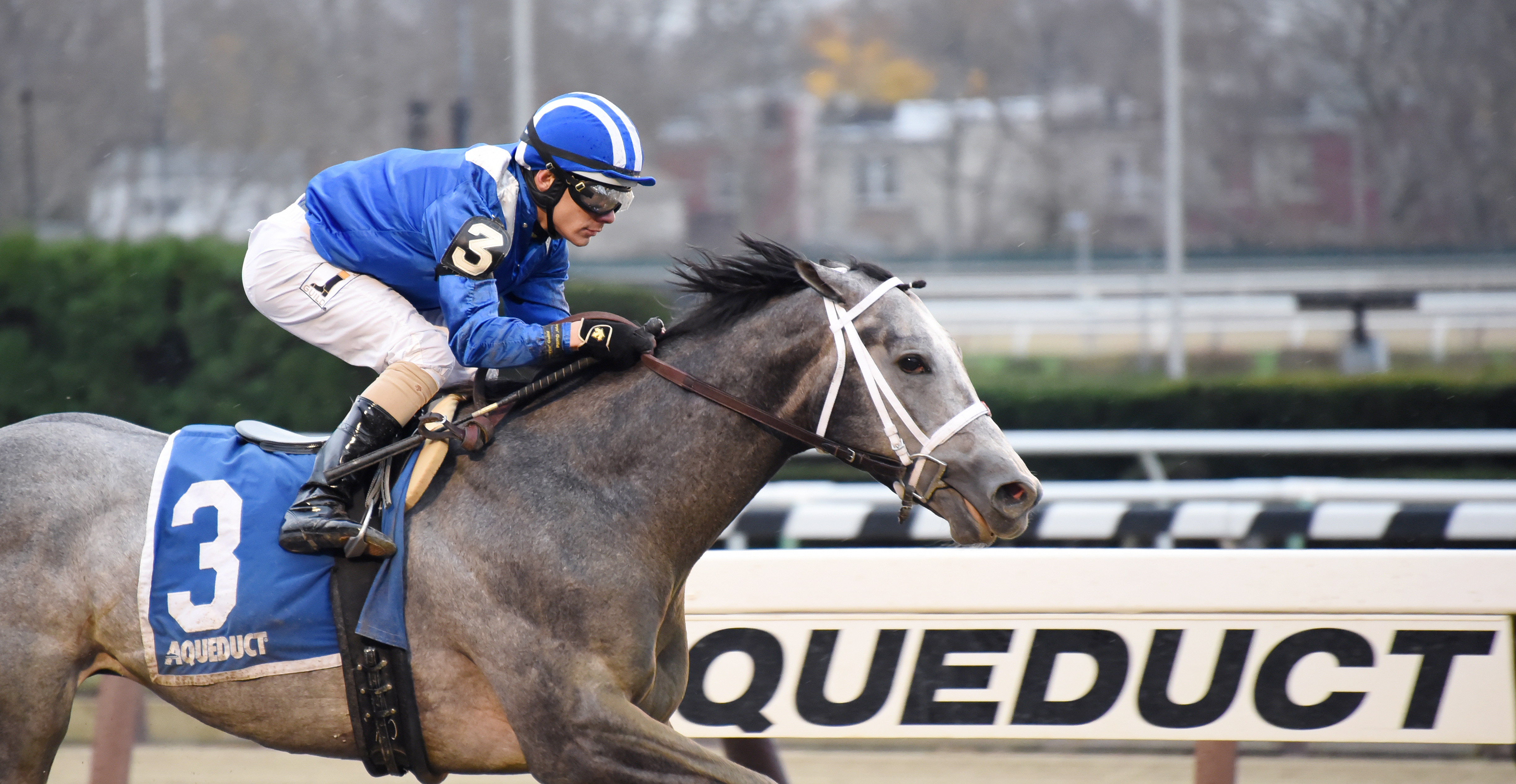 Mohaymen wins the Remsen