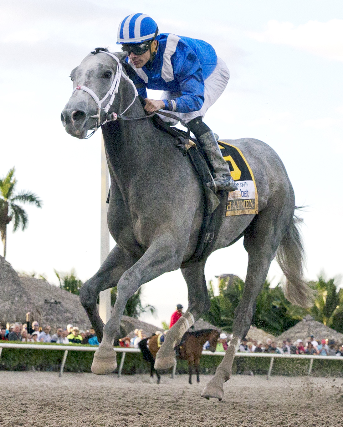 Mohaymen 2-27-16