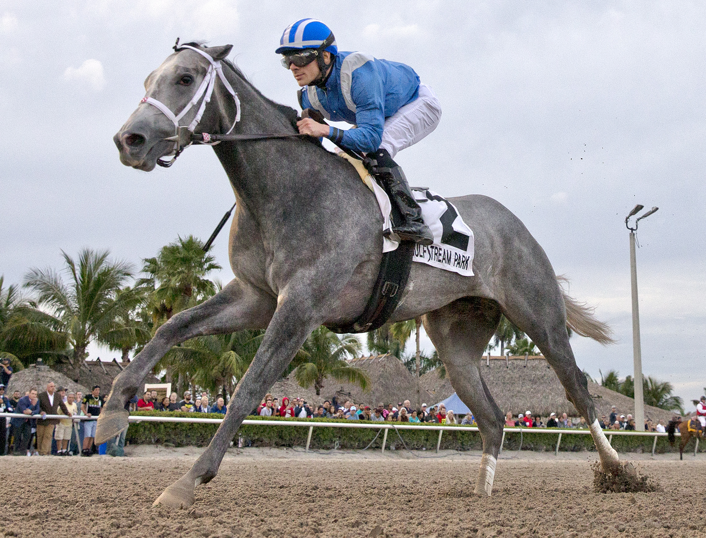 Mohaymen