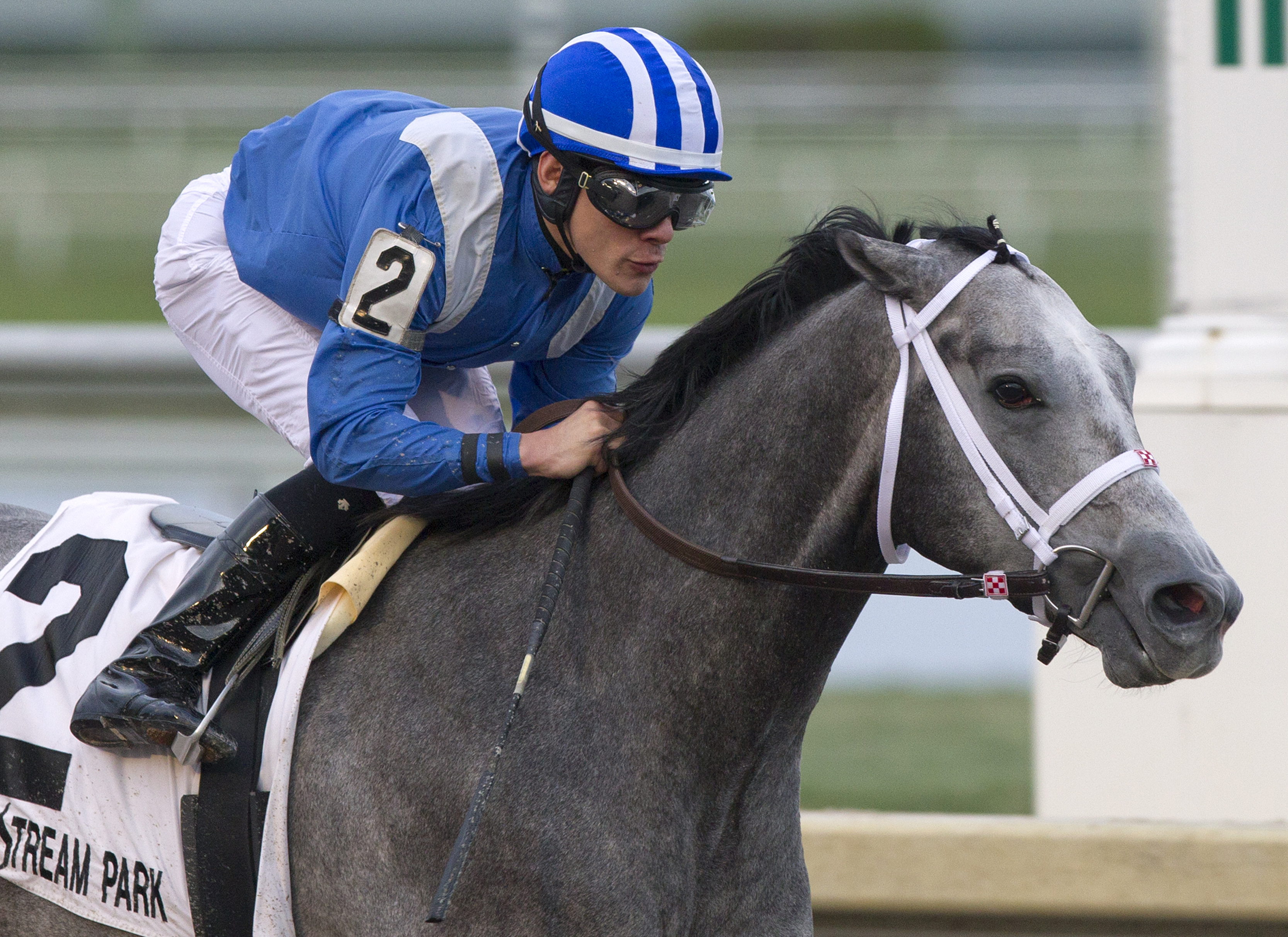 Mohaymen