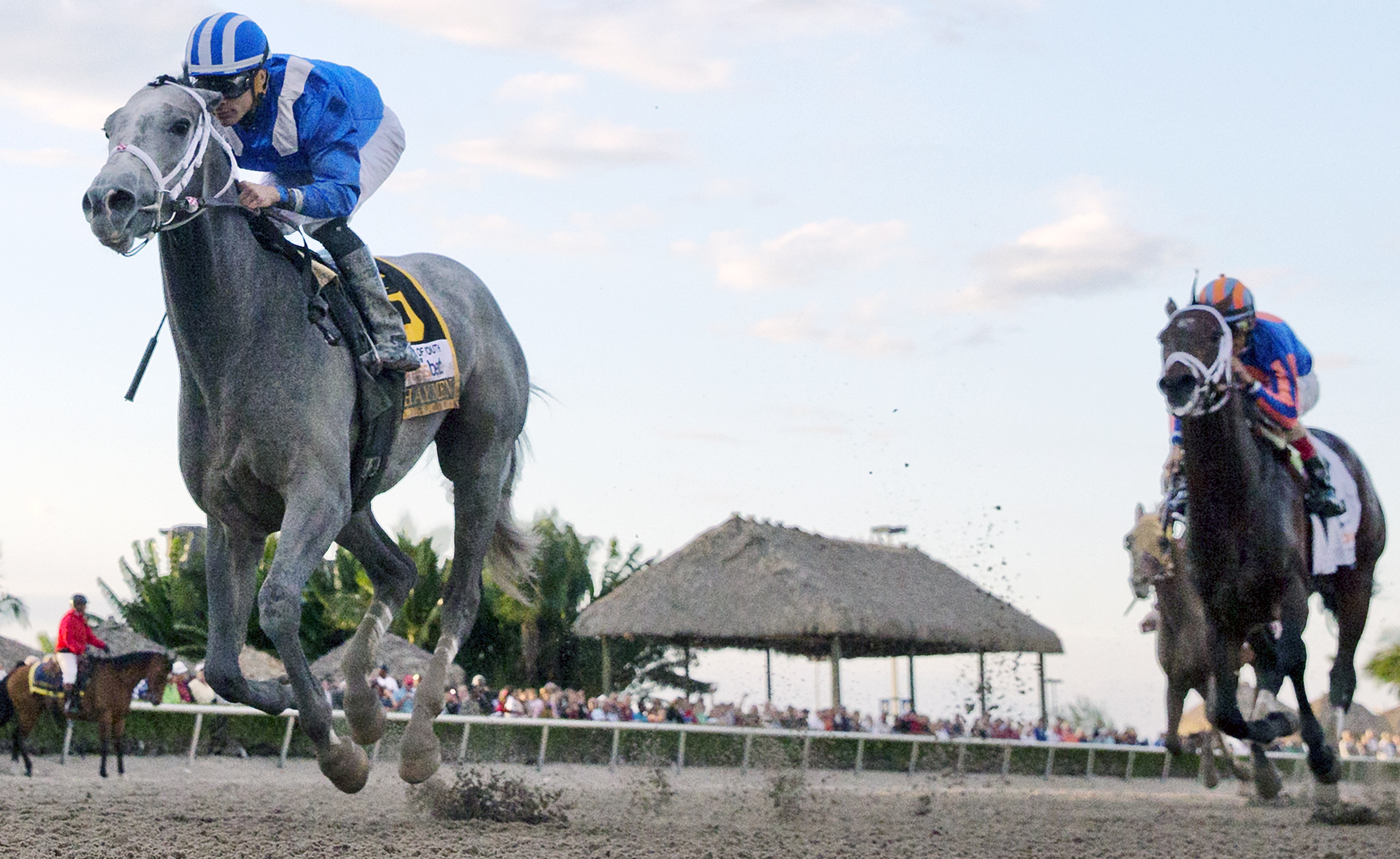 Mohaymen 2-27-2016