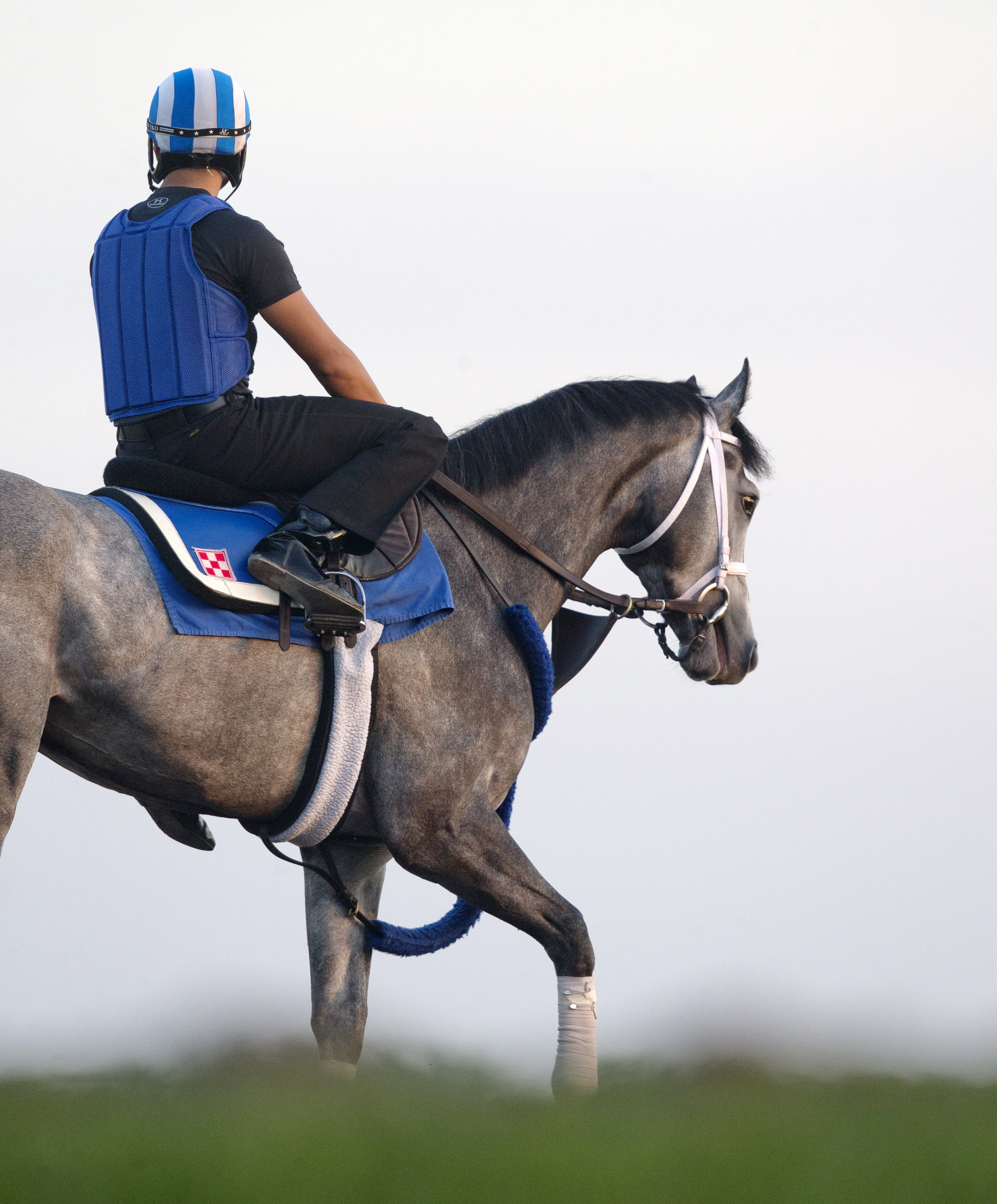 Mohaymen at Gulfstream Park on March 30