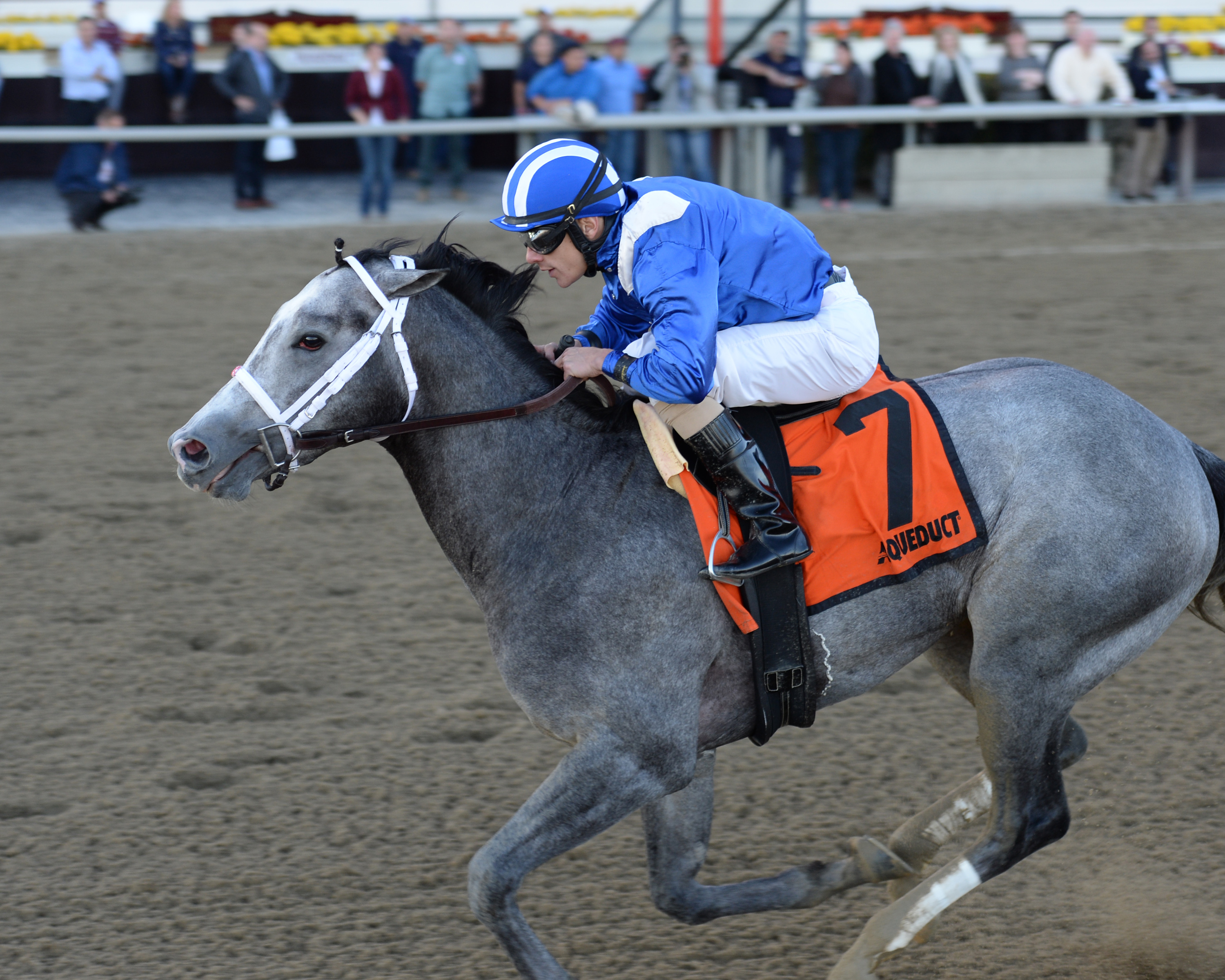Mohaymen 11-4-2015