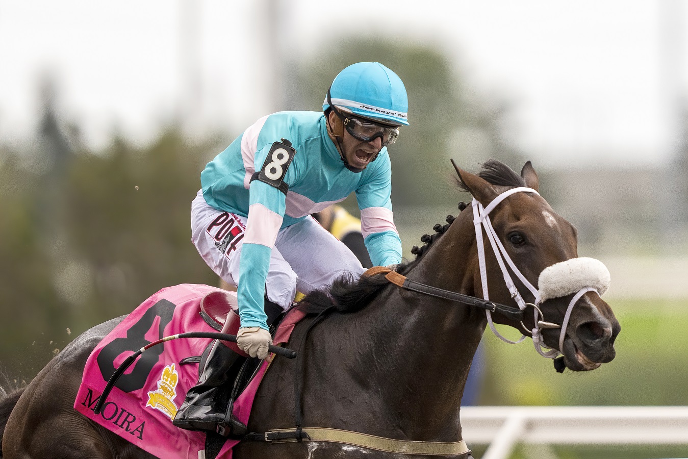 Moira - Queen's Plate S. 2022