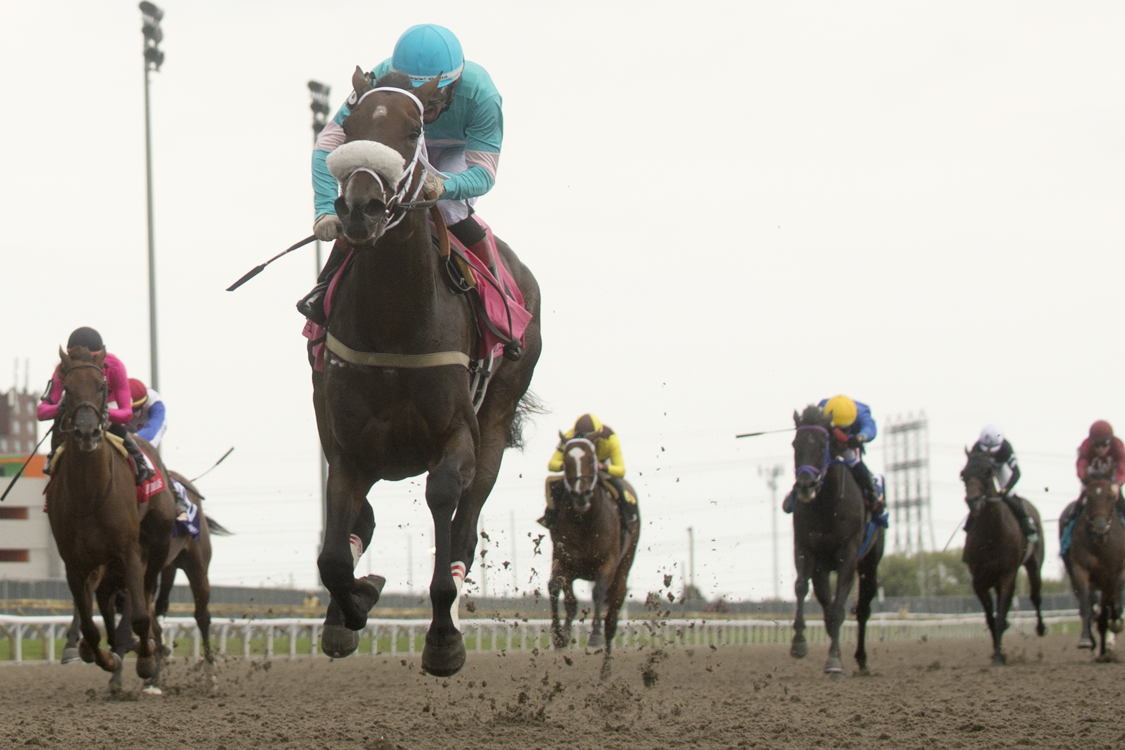 Moira - Queen's Plate S. 2022