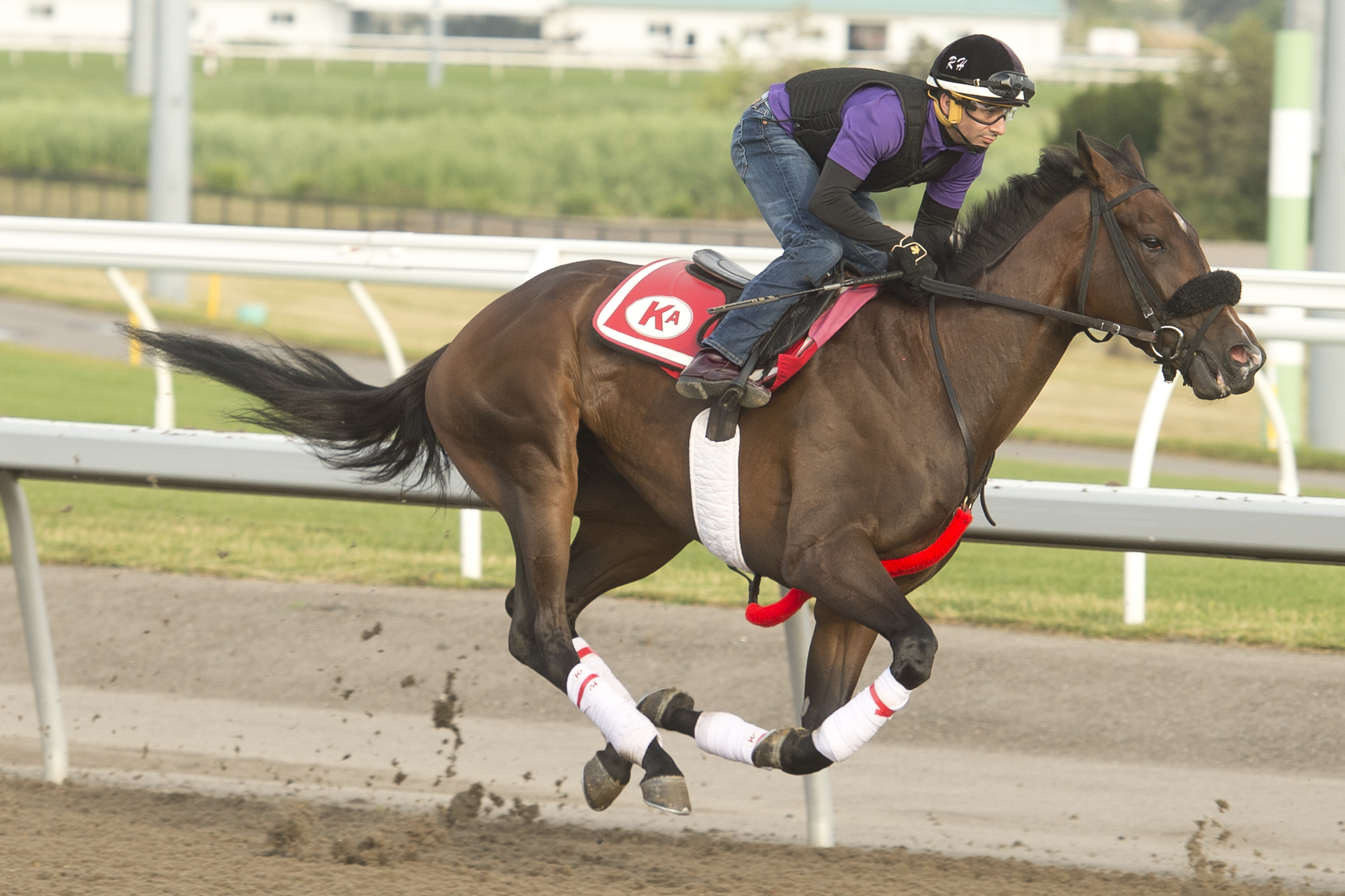 Moira trains at Woodbine on July 21 2022