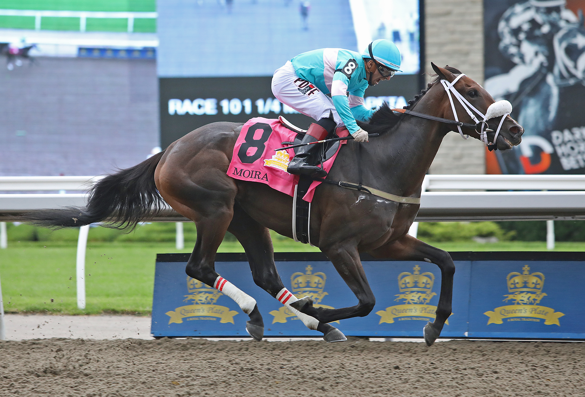 Moira/Queen's Plate