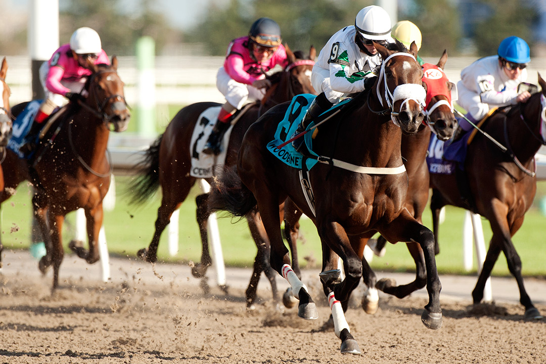 Moira wins the 2021 Princess Elizabeth Stakes at Woodbine