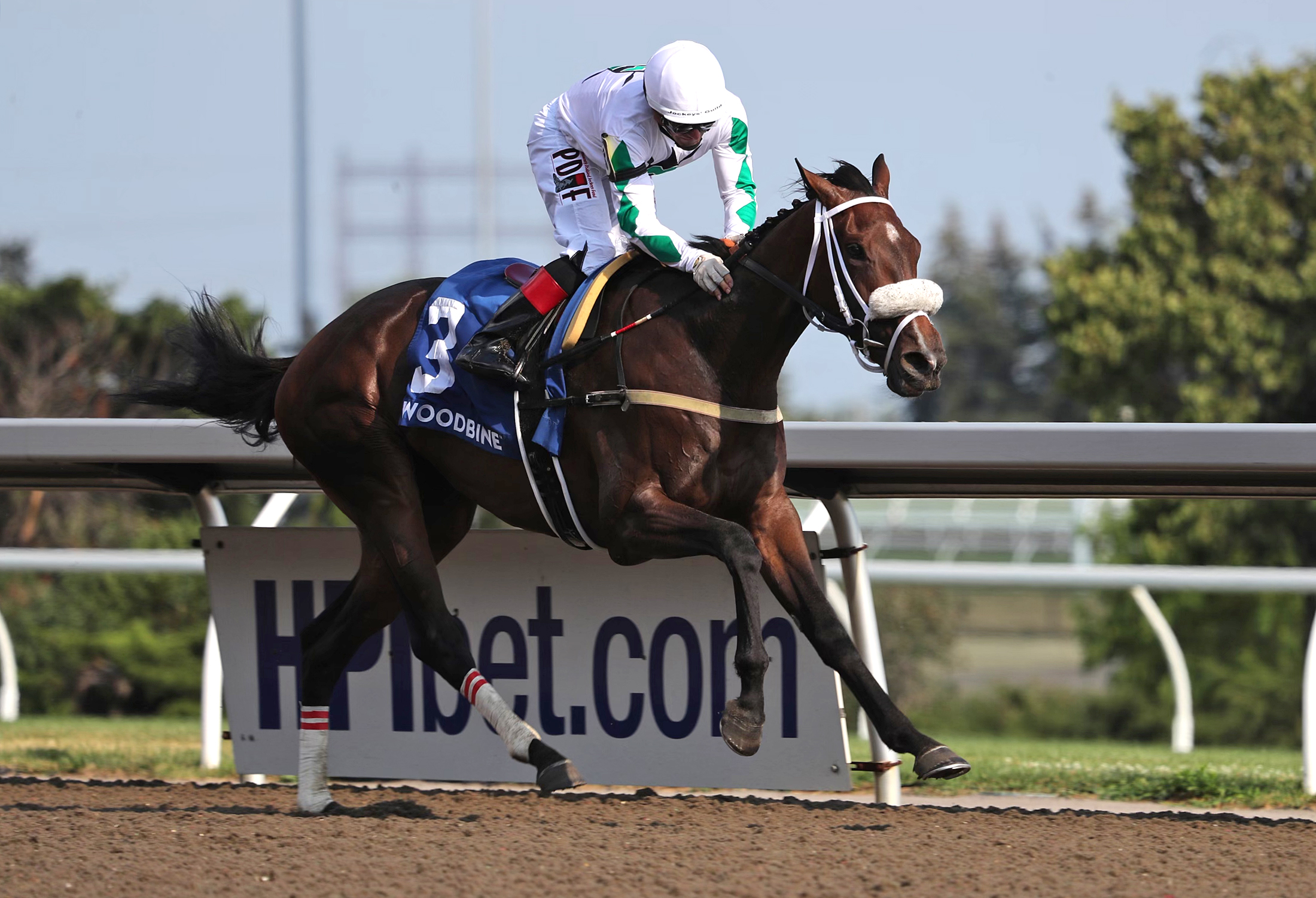 Moira wins Woodbine Oaks 7-24-2022