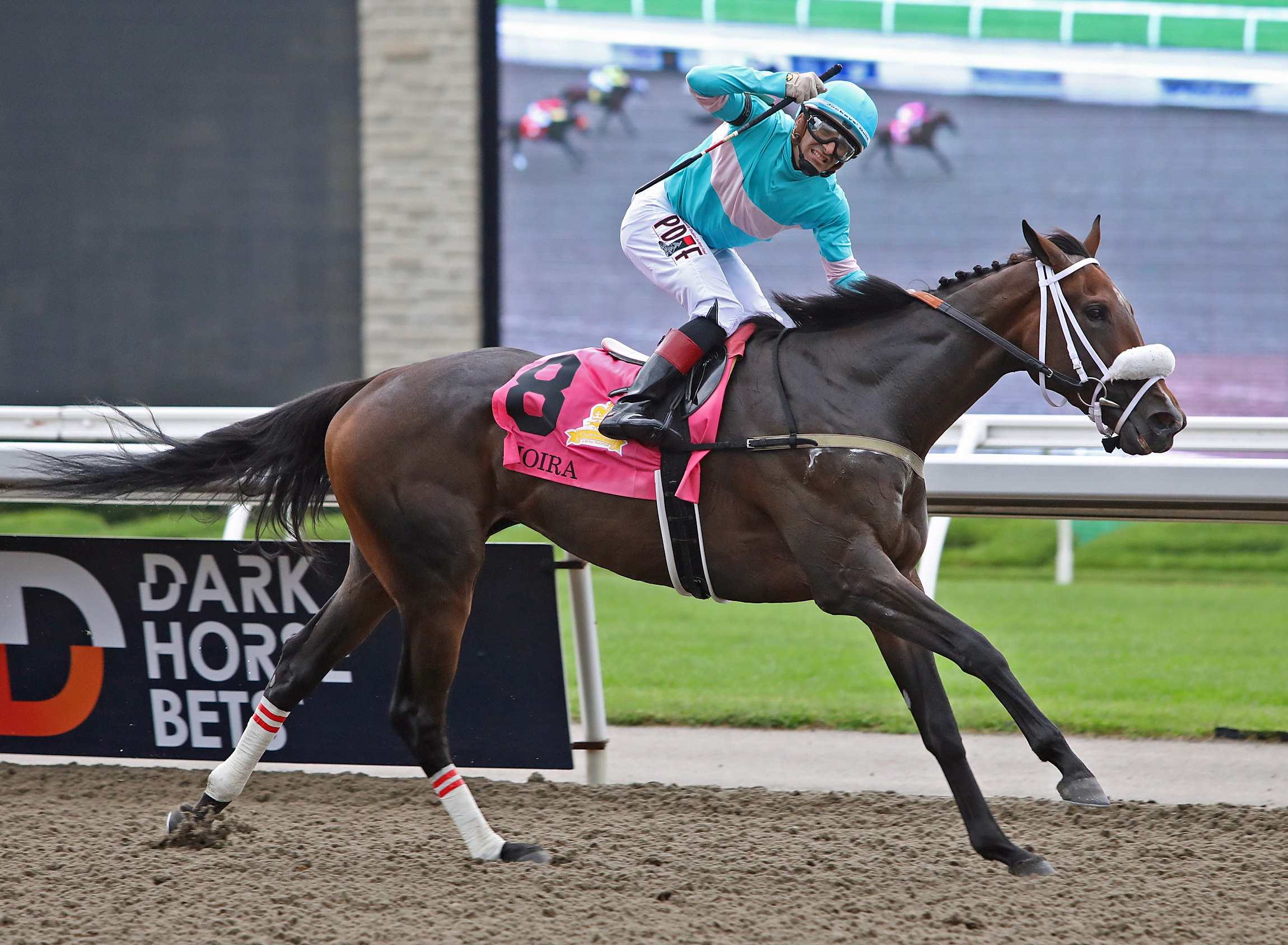 Moira wins Queen's Plate 8-21-2022