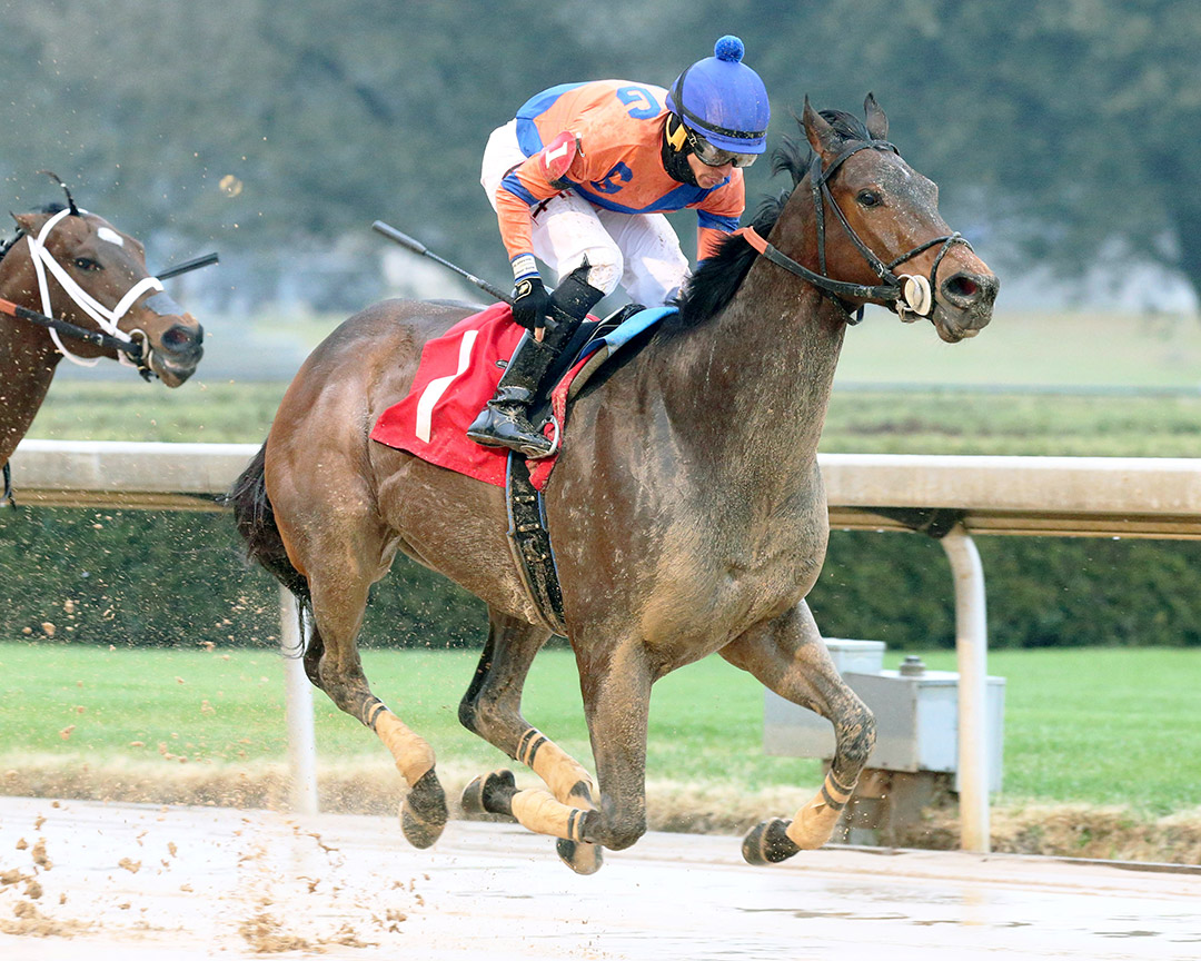 Mojo Man wins a Feb. 26 allowance at Oaklawn Park