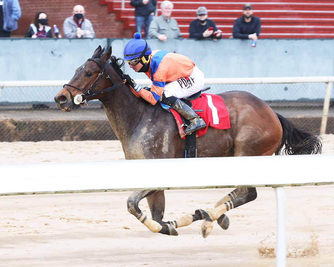 Mojo Man wins a Feb. 26 allowance at Oaklawn
