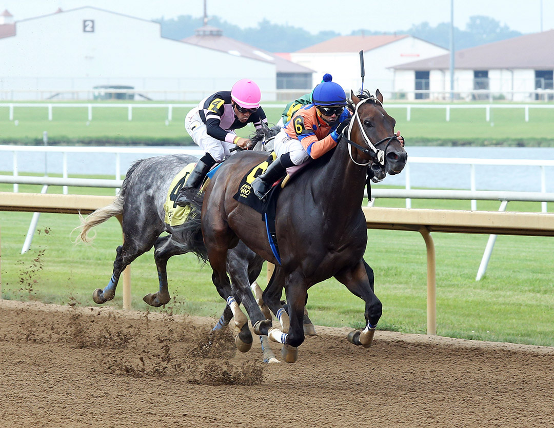 Mojo Man wins the 2021 Send It In Army Stakes at Indiana Grand