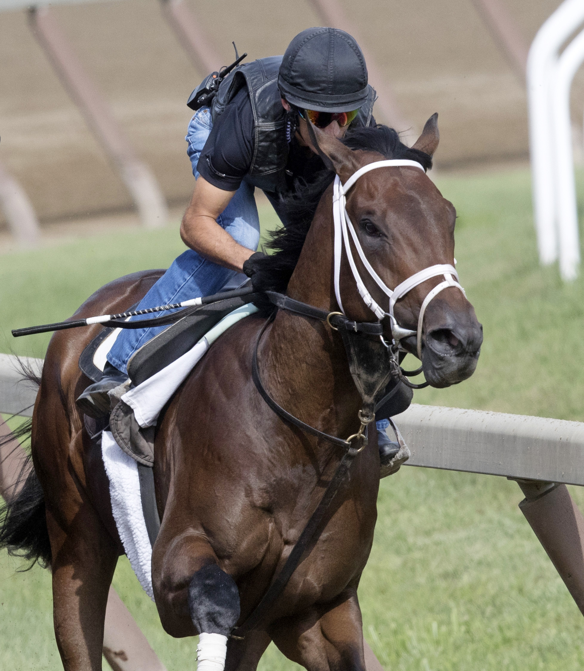 Mojovation trains at Saratoga on Aug. 14, 2017